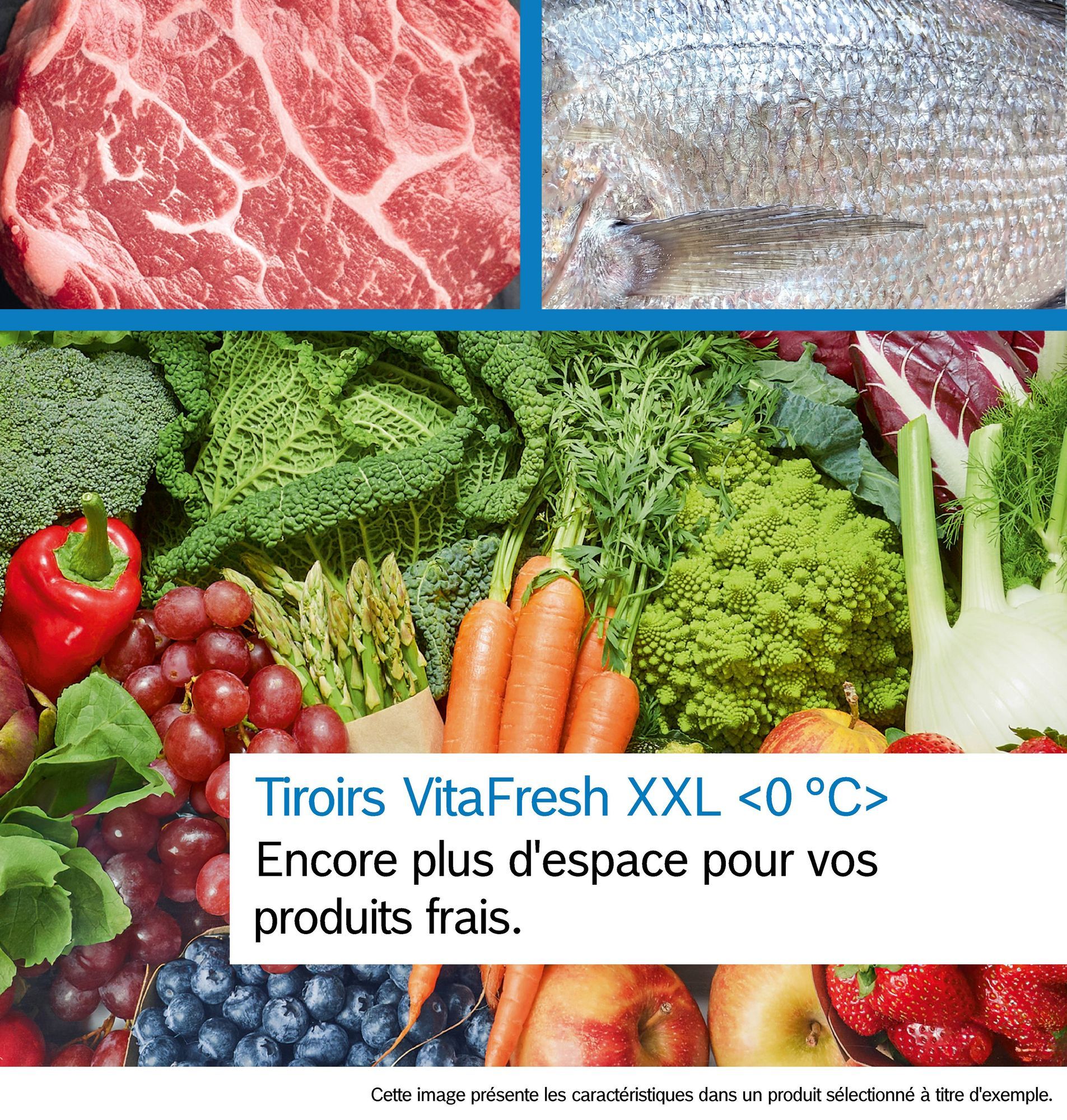 Réfrigérateur 1 porte BOSCH  - KIR81ADC0