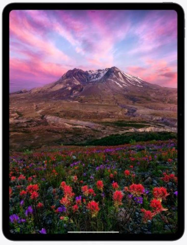 iPad Pro APPLE  - IPADPRO13-MVX63NF