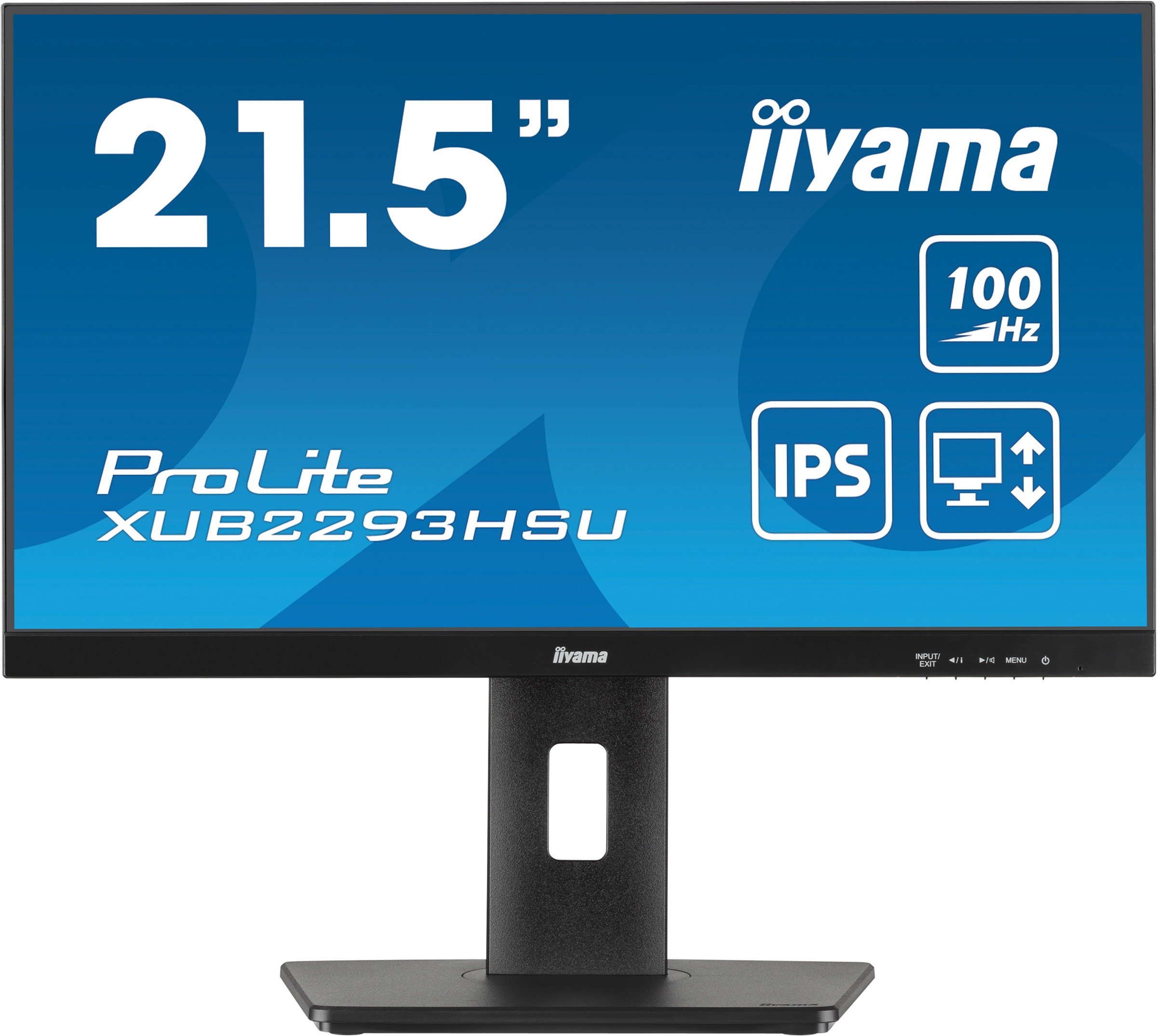 Ecran 21.5 pouces Full HD IIYAMA  - IIXUB2293HSUB7