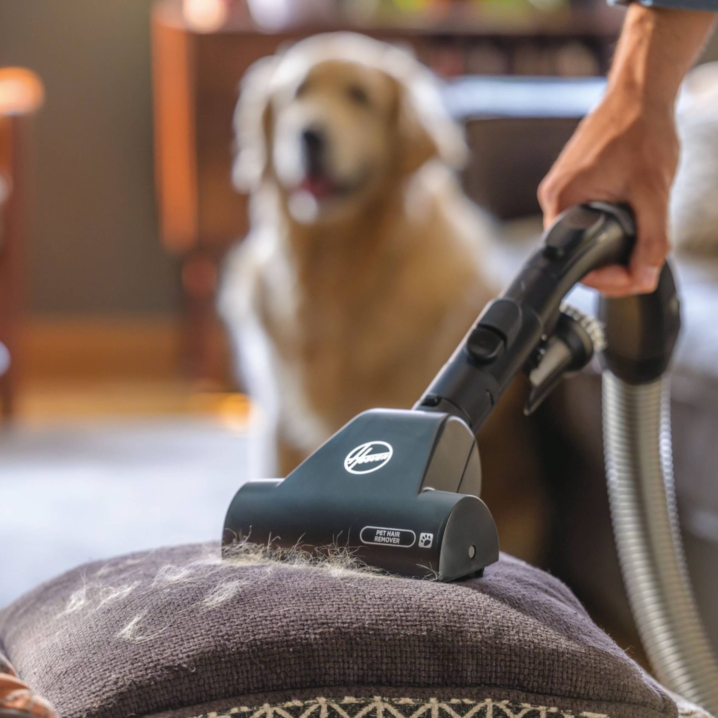 Aspirateur traîneau HOOVER HE720 850W Noir - HE720PET