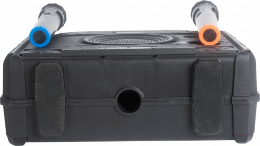 IBIZA Enceinte bluetooth Karaoké - KARAVISION