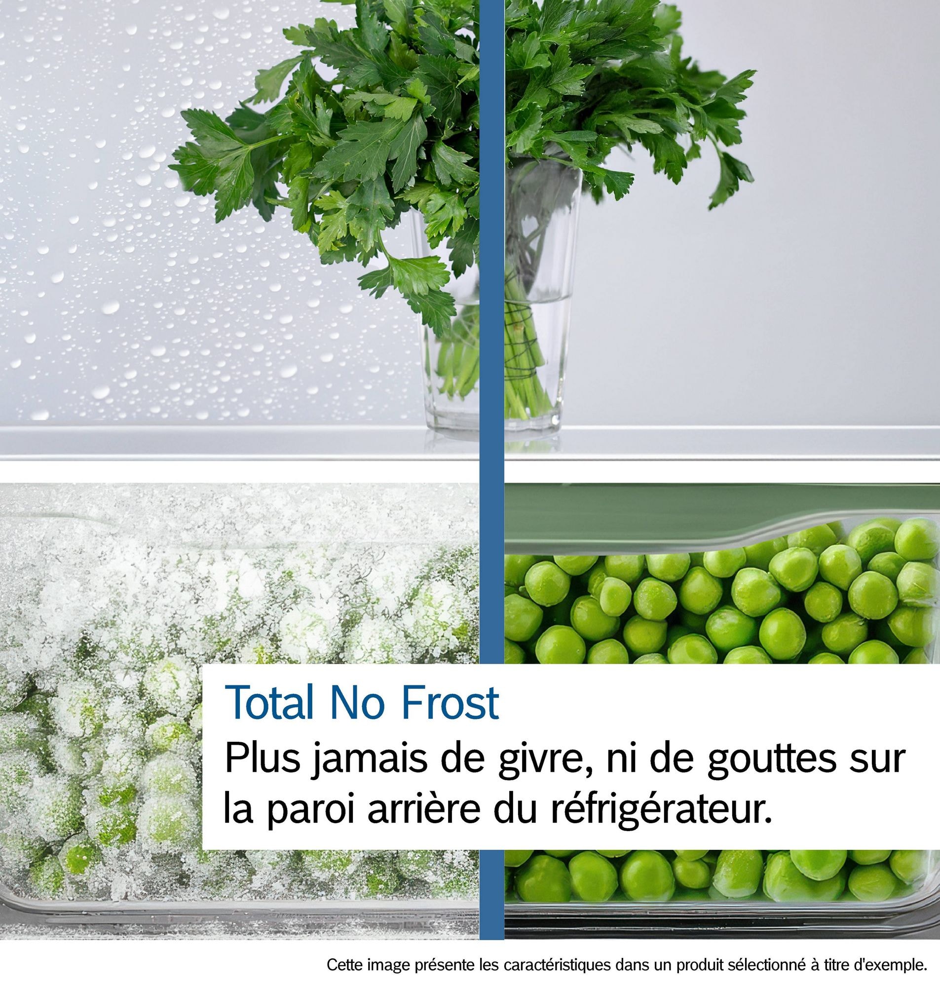 Réfrigérateur congélateur bas BOSCH  - KGN33NSDB