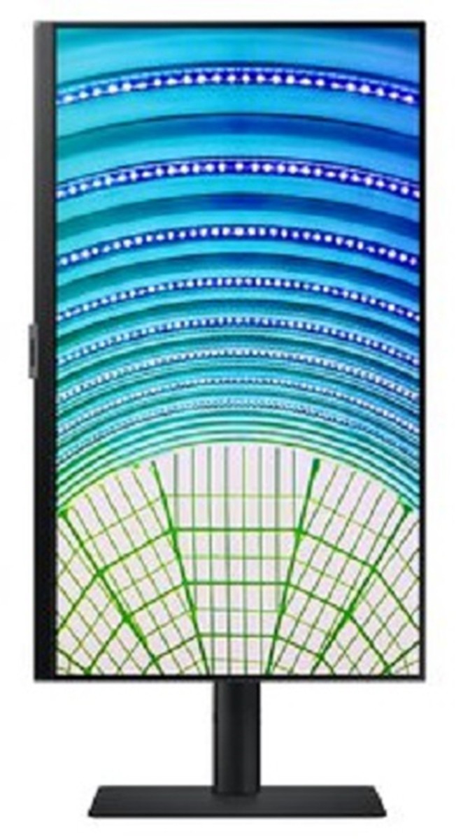 Ecran 24 pouces Full HD SAMSUNG IPS USB-C Noir - LS24A60PUCUXEN