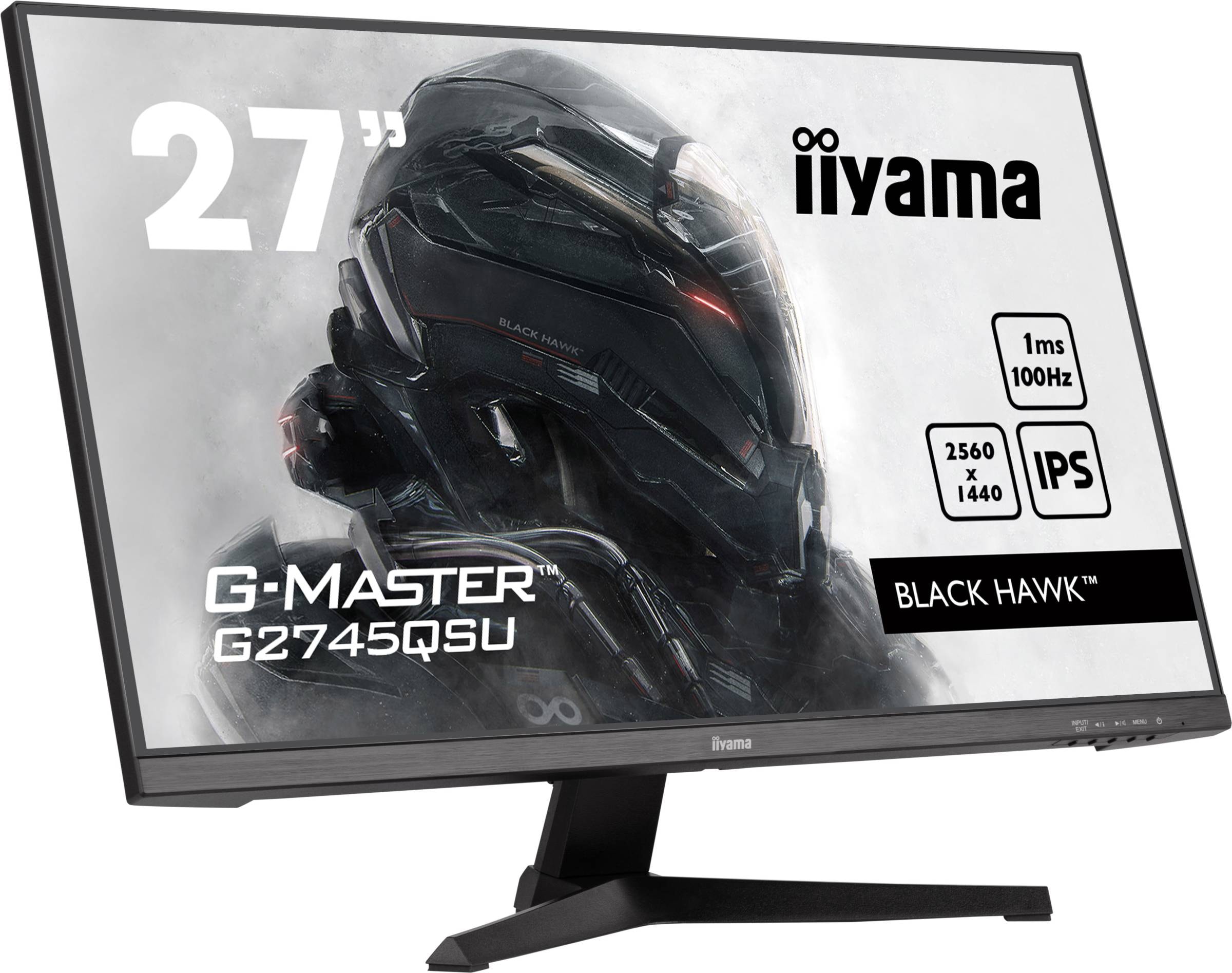 IIYAMA Ecran PC Gamer 27 pouces  - G2745QSU-B1