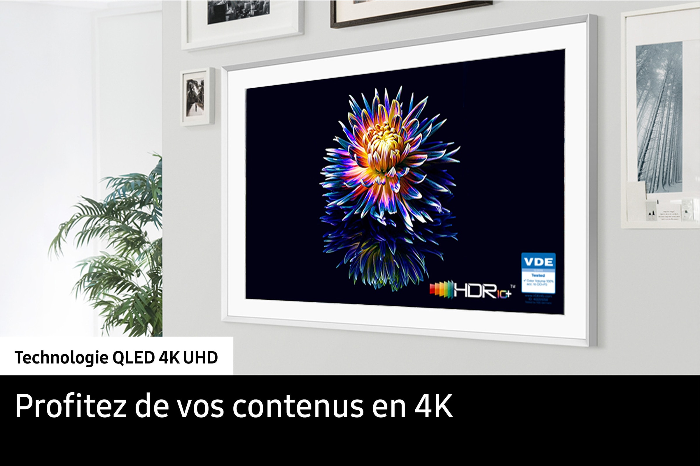 TV QLED 4K 163 cm SAMSUNG - TQ65LS03FA TV QLED 4K 163 cm SAMSUNG - TQ65LS03FA