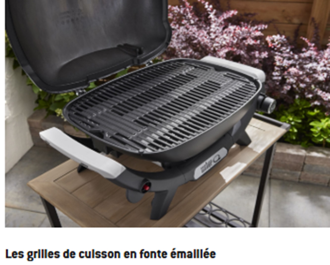Barbecue gaz WEBER Q1200, Noir - Q1200N-1501072 Barbecue gaz WEBER Q1200, Noir - Q1200N-1501072