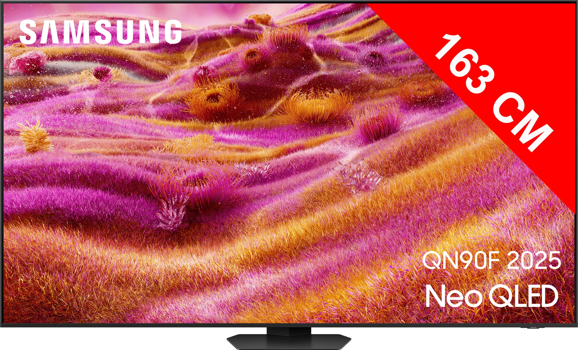 TV Neo QLED 4K 163 cm SAMSUNG - TQ65QN90F TV Neo QLED 4K 163 cm SAMSUNG - TQ65QN90F