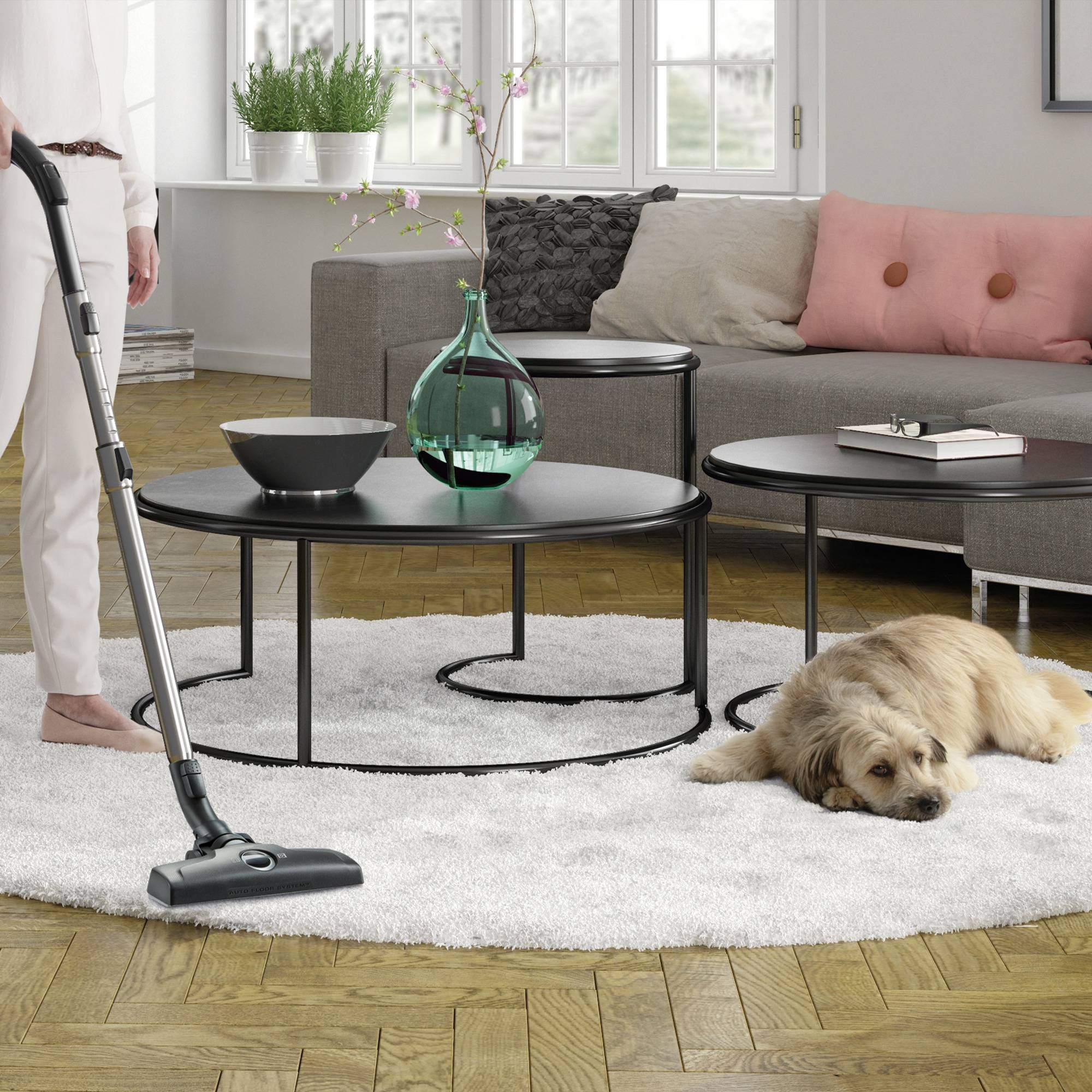 Aspirateur traîneau ELECTROLUX sans sac Silent Performer Cyclonic 650W Rouge - ESPC72RR
