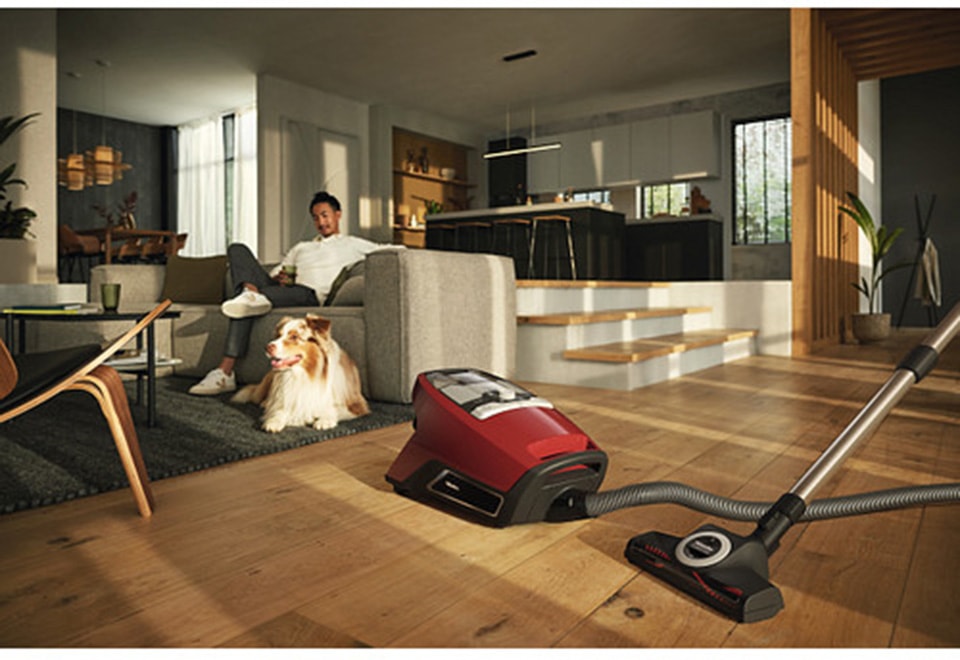 Aspirateur traîneau MIELE  - BLIZZARDCX1CATDOGFLX