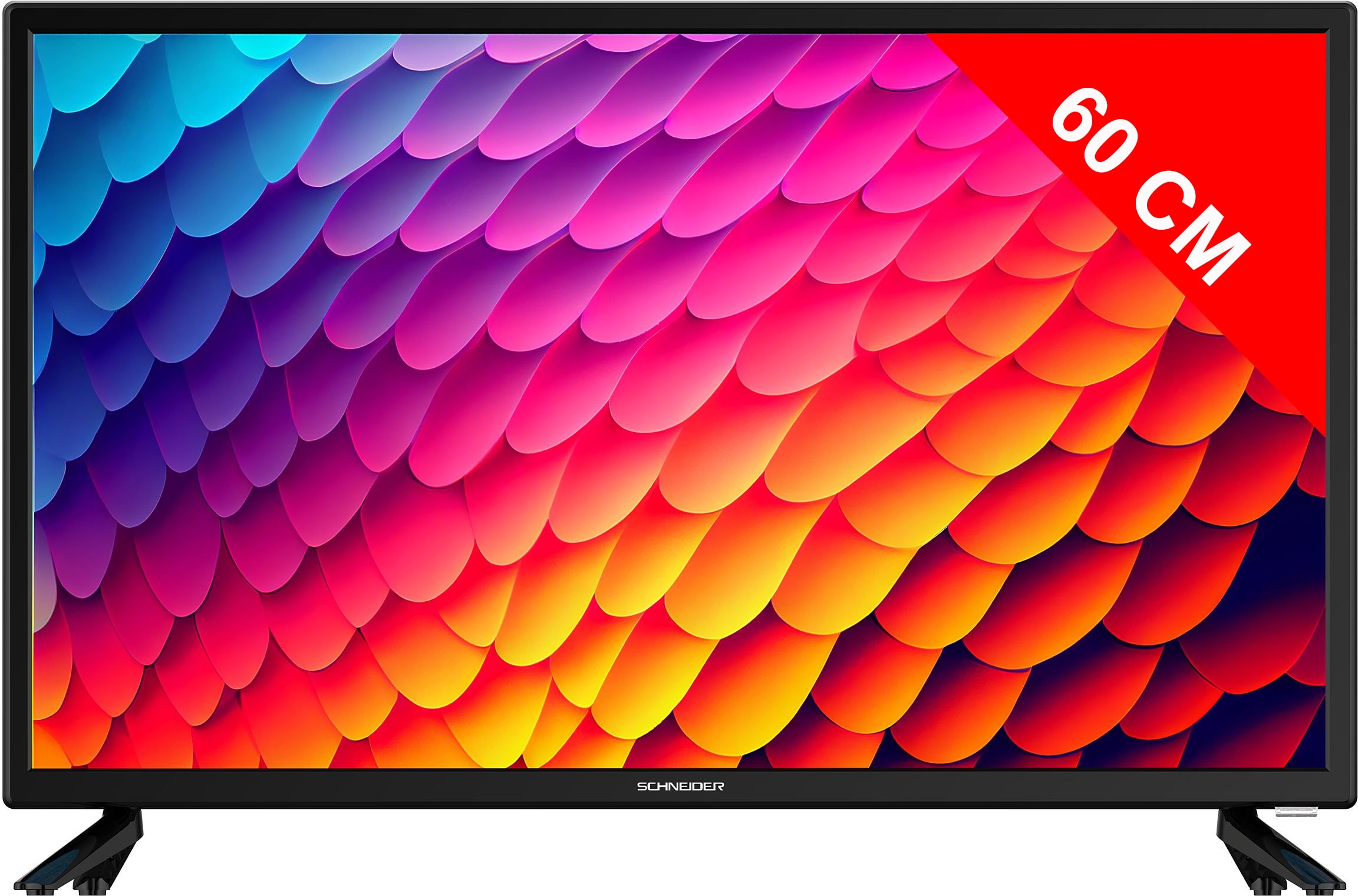 TV LED 60 cm SCHNEIDER  24BN4