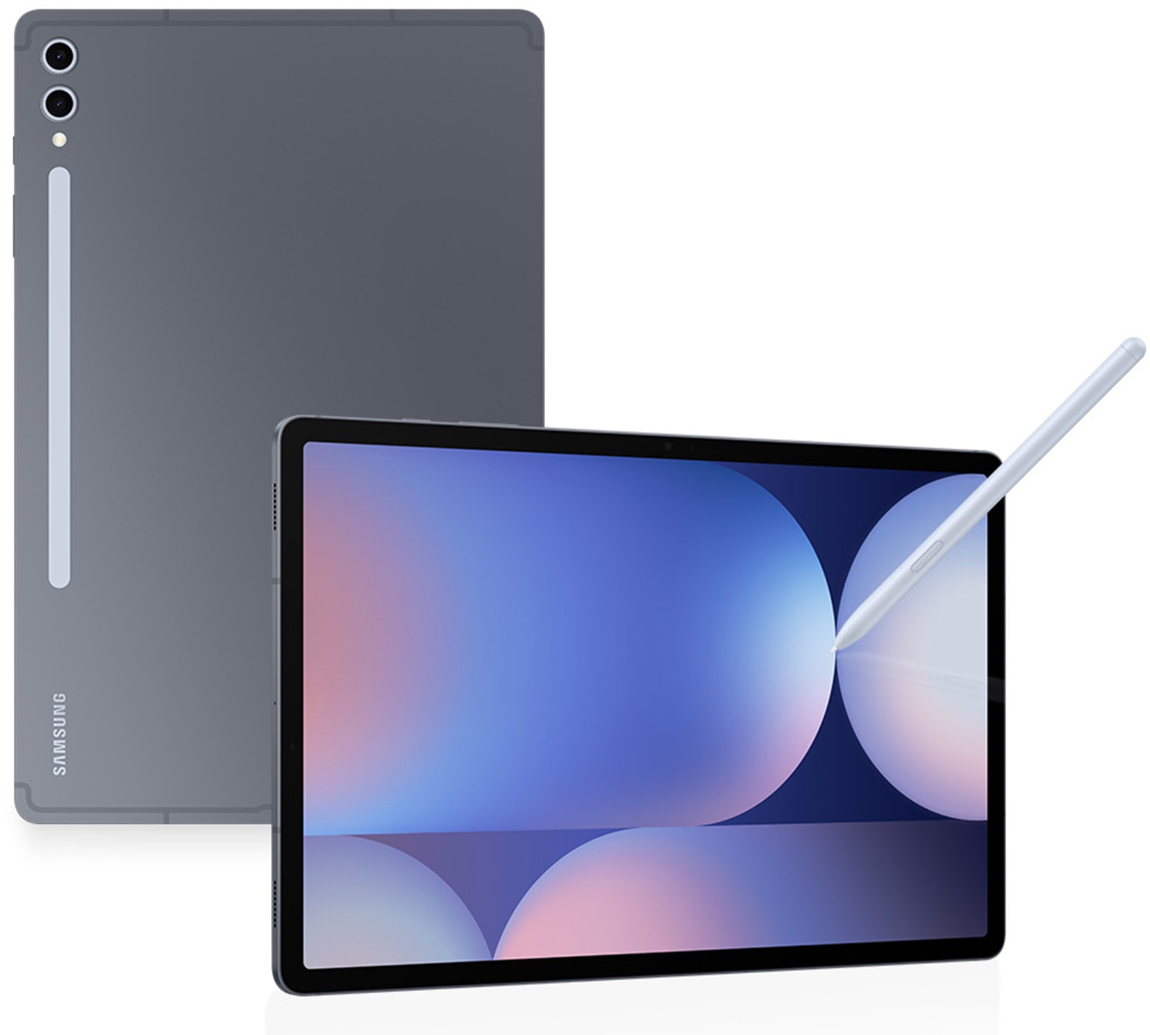 Tablette tactile SAMSUNG  TABS10+256G5G12ANT