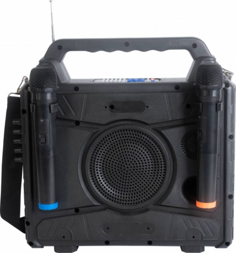 Enceinte bluetooth IBIZA Karaoké - KARAVISION