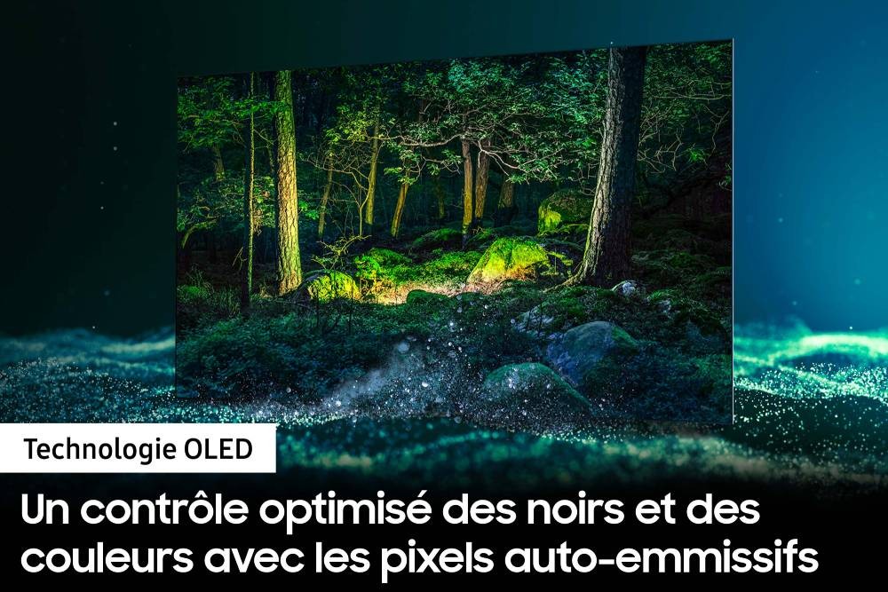 TV OLED 4K 138 cm SAMSUNG 55" - QE55S95B TV OLED 4K 138 cm SAMSUNG 55" - QE55S95B