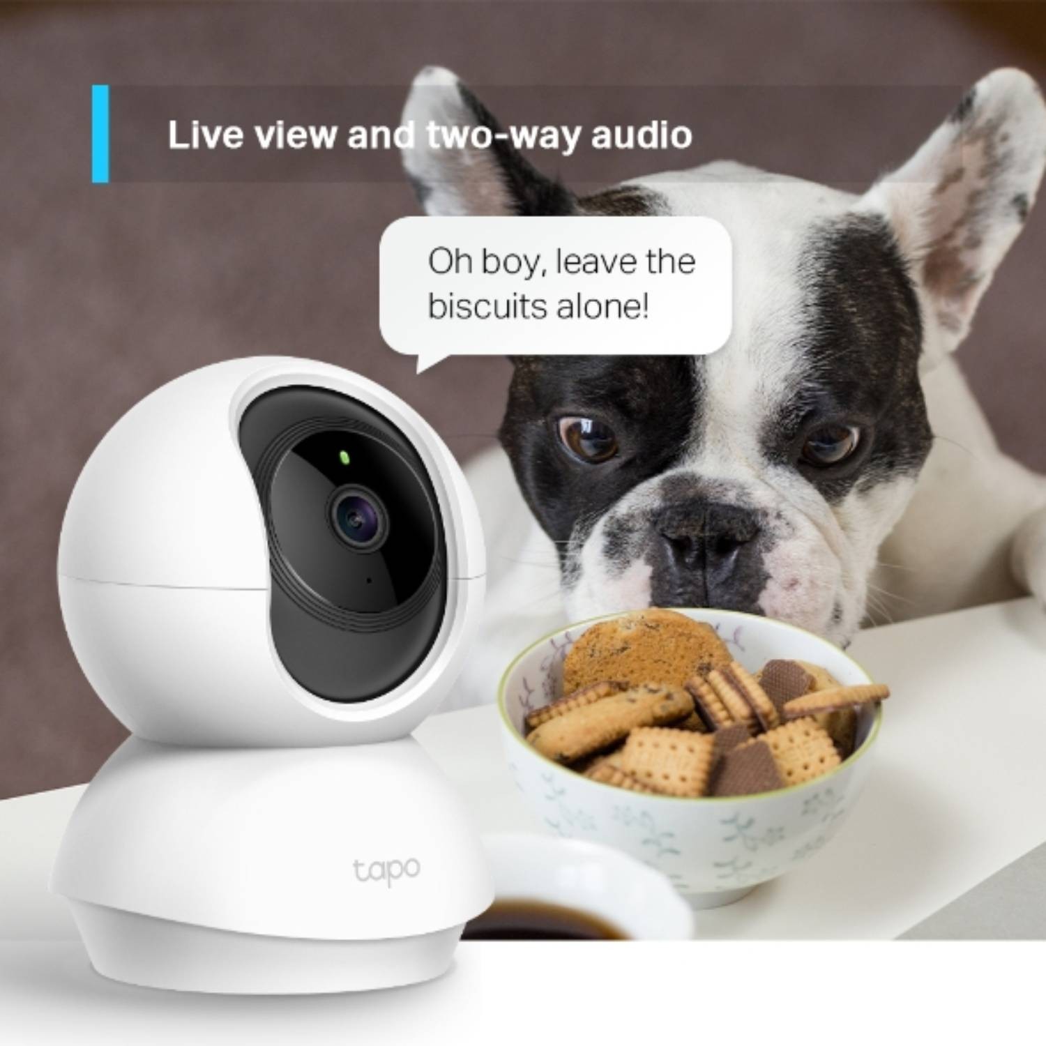 Caméra de surveillance TP-LINK  - TAPOC210