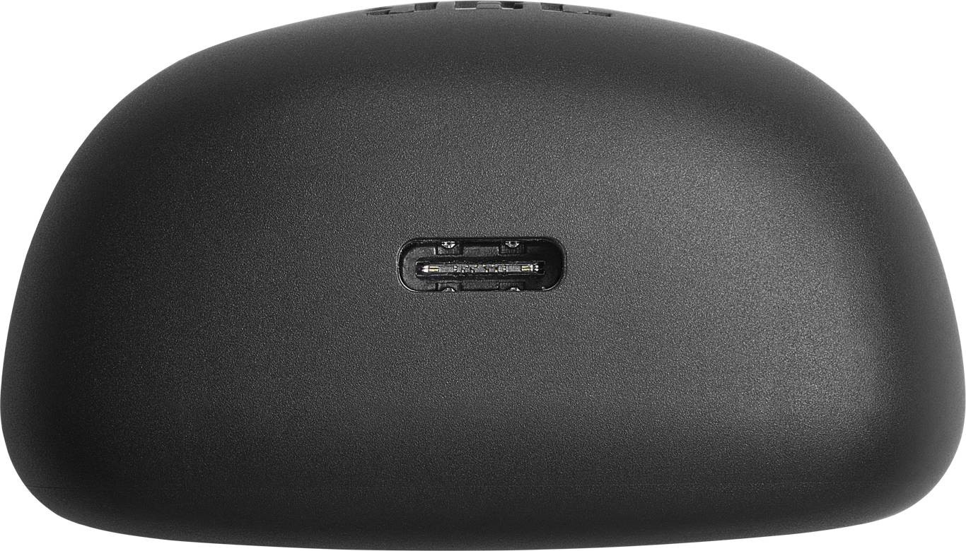 Ecouteurs True Wireless JBL Tune Flex Noir  - JBLTFLEXBLK