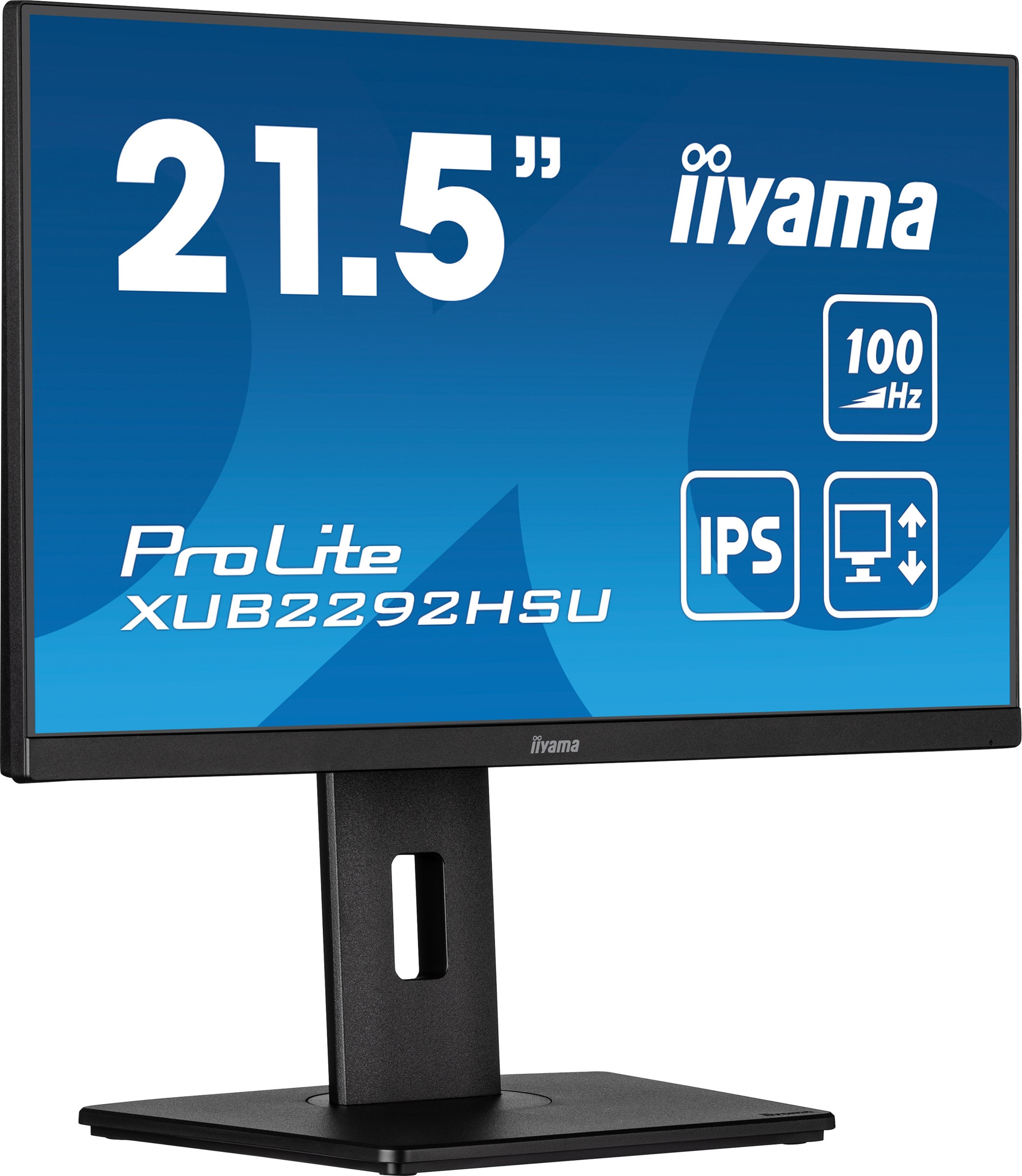 Ecran 21.5 pouces Full HD IIYAMA  - IIXUB2292HSUB6