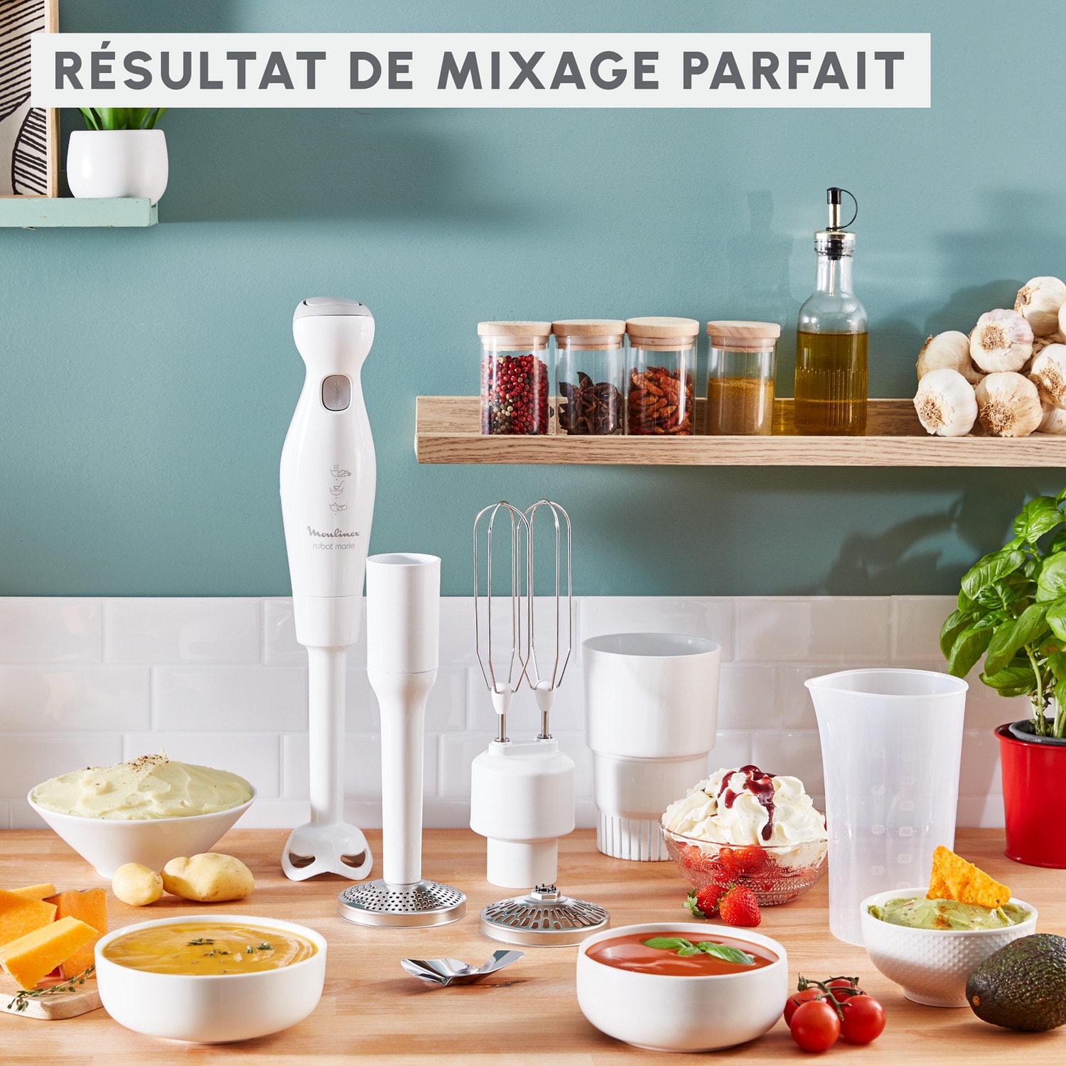 Mixeur MOULINEX Fouet Hachoir Pied purée 450W Blanc - DDG25110