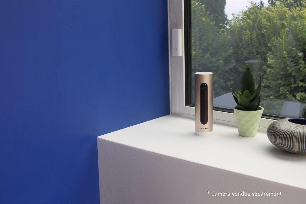 Caméra de surveillance NETATMO - NBU-ICSS-EU Caméra de surveillance NETATMO - NBU-ICSS-EU