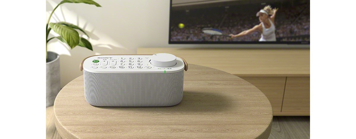 Base enceinte TV SONY  - SRSLSR200