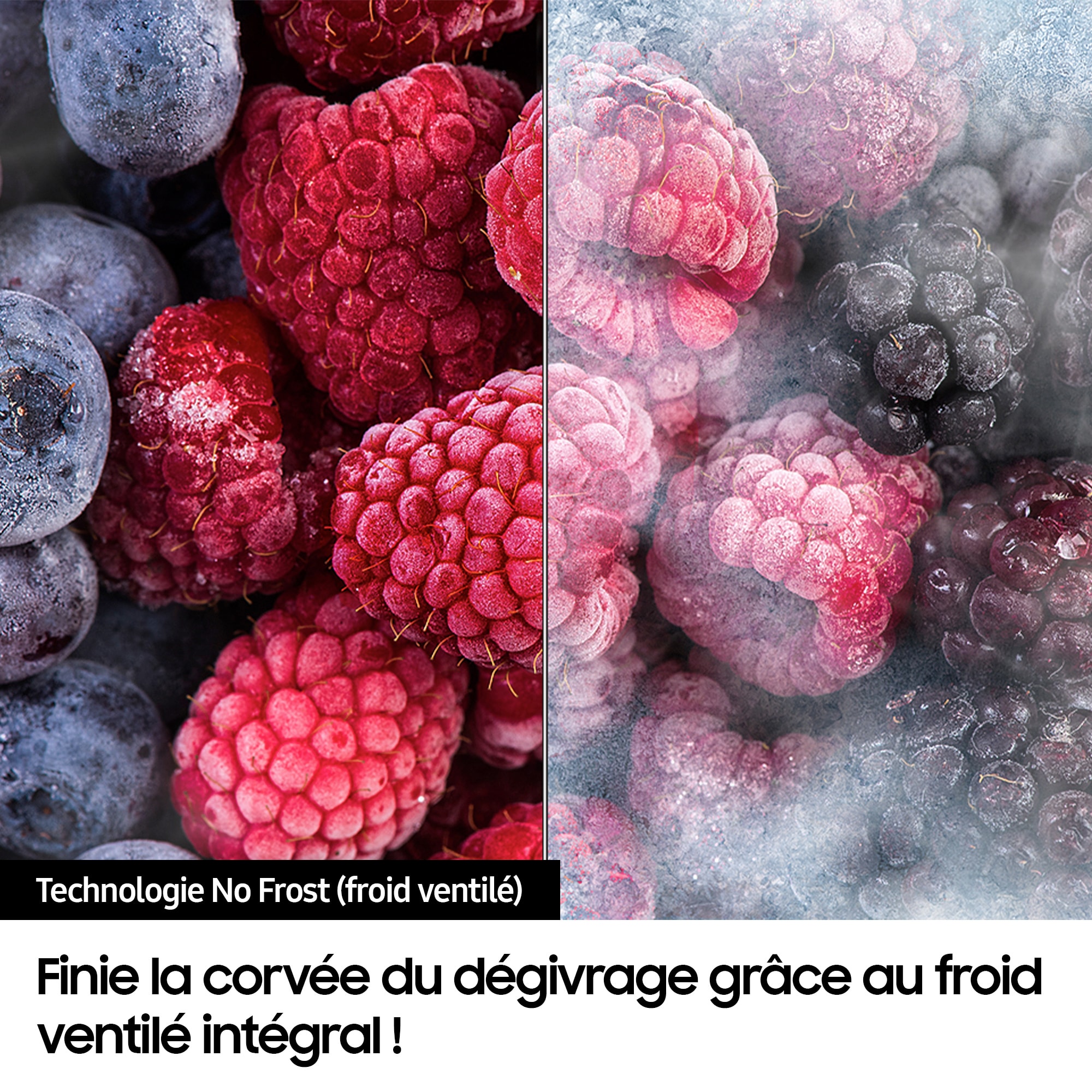 Réfrigérateur congélateur bas SAMSUNG 508L No Frost Noir - RB50DG601EB1