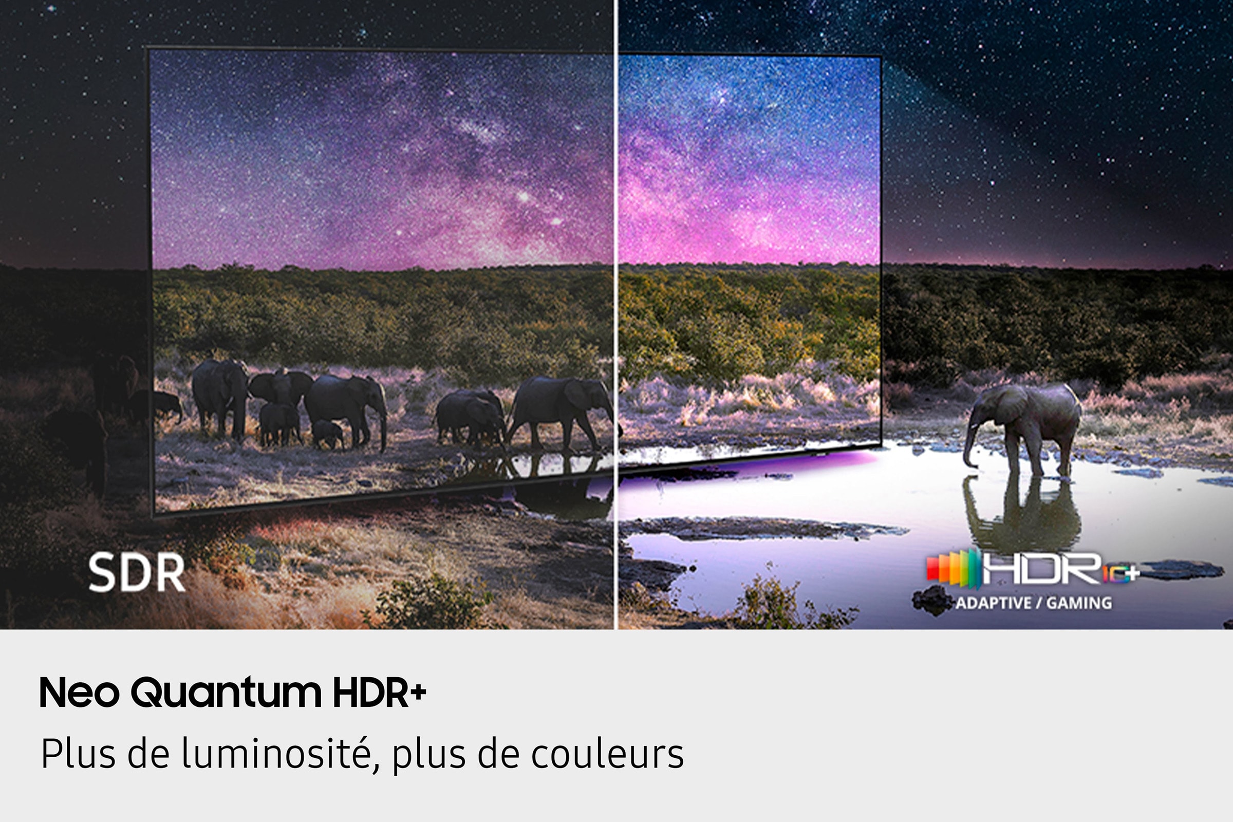 TV Neo QLED 4K 292 cm SAMSUNG QN90F 115" 165Hz Noir - TQ115QN90F