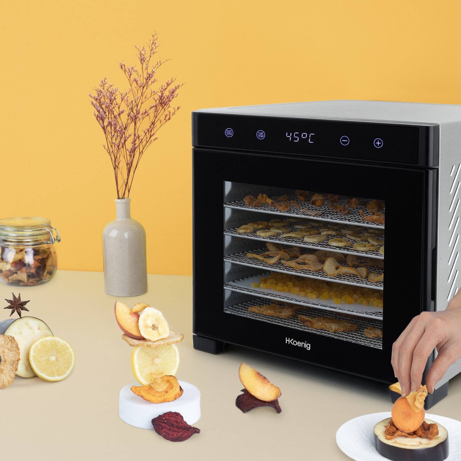 Déshydrateur de fruits H.KOENIG 650W - DSY900 Déshydrateur de fruits H.KOENIG 650W - DSY900