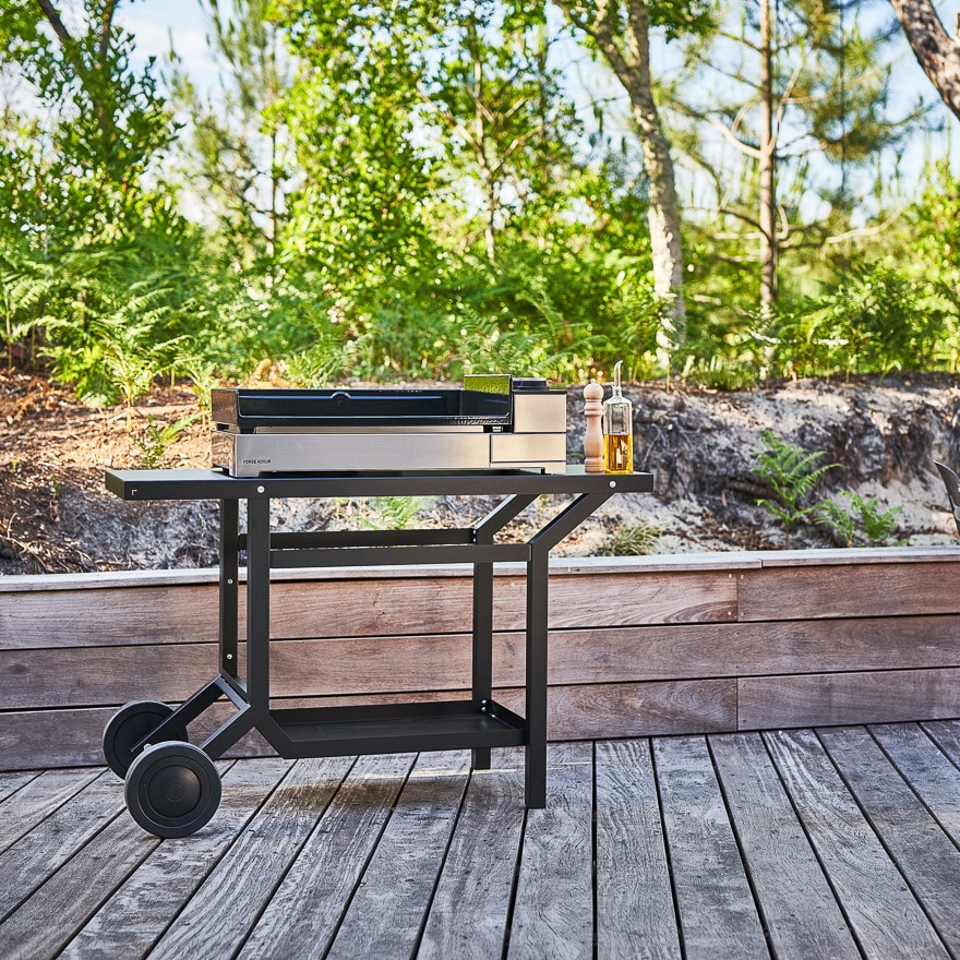 Plancha FORGE ADOUR Premium E60I - PREMIUME60I Plancha FORGE ADOUR Premium E60I - PREMIUME60I