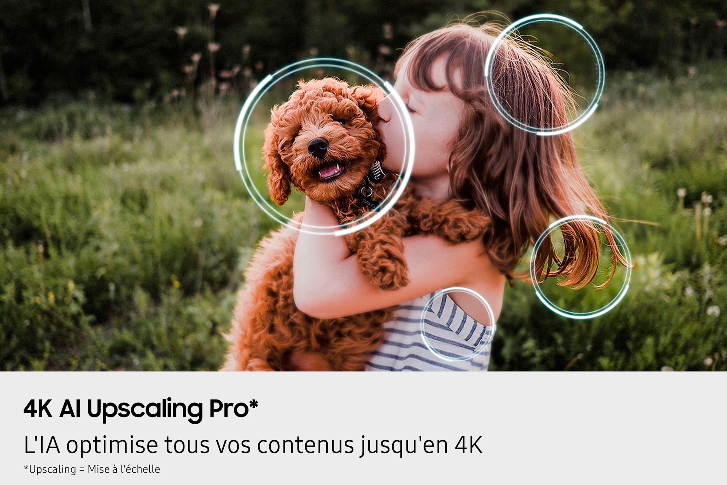 TV OLED 4K 105 cm SAMSUNG - TQ42S90F TV OLED 4K 105 cm SAMSUNG - TQ42S90F