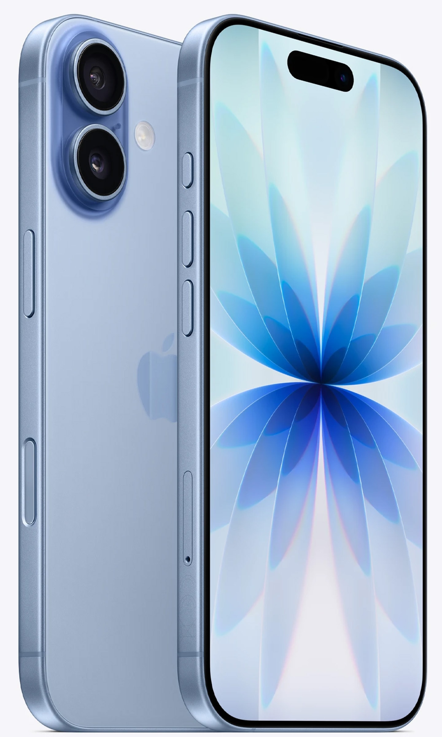 iPhone APPLE 5G 256Go Bleu IPHONE17-256-BRUME