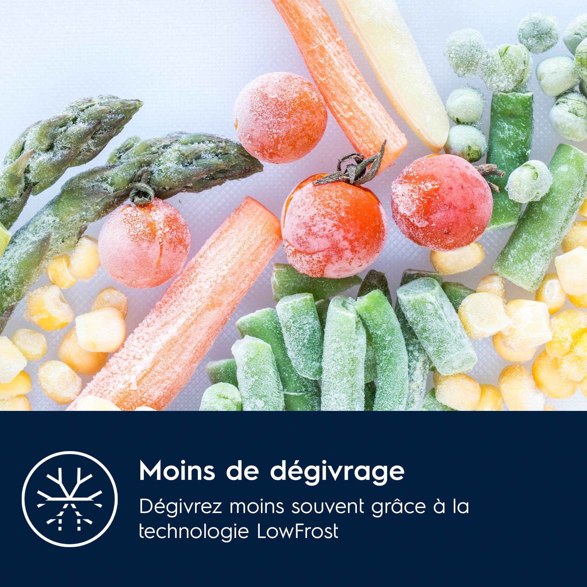 ELECTROLUX Congélateur encastrable top Série 600 LowFrost 98L