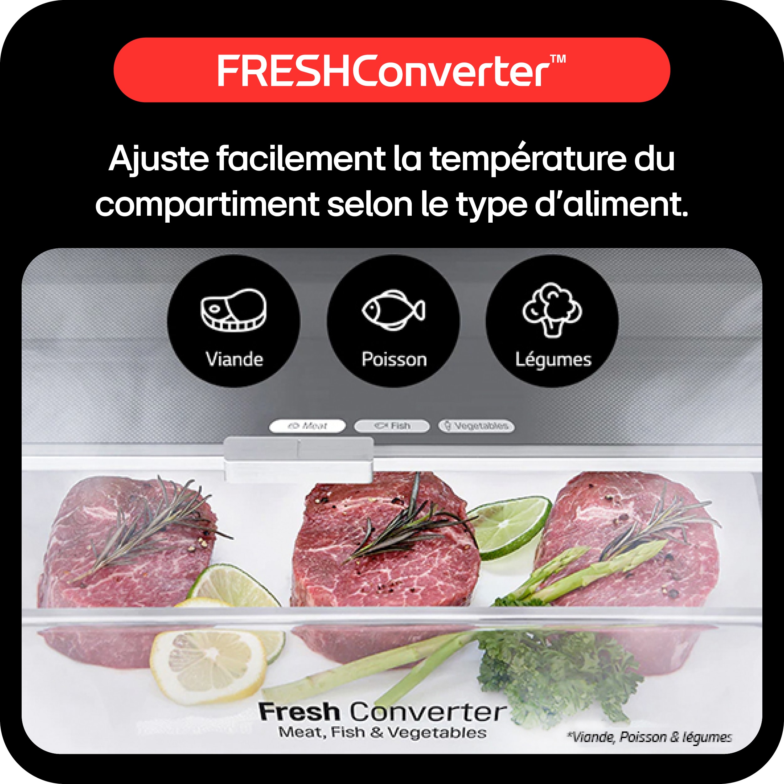 Réfrigérateur congélateur bas LG , Froid No Frost, 386L, Gris - GBF7272DPY