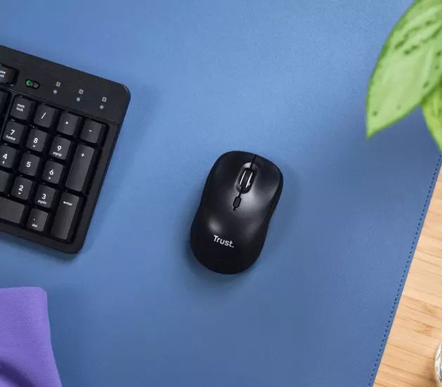 Souris sans fil TRUST Noir - YVI+COMPACTNR-25440