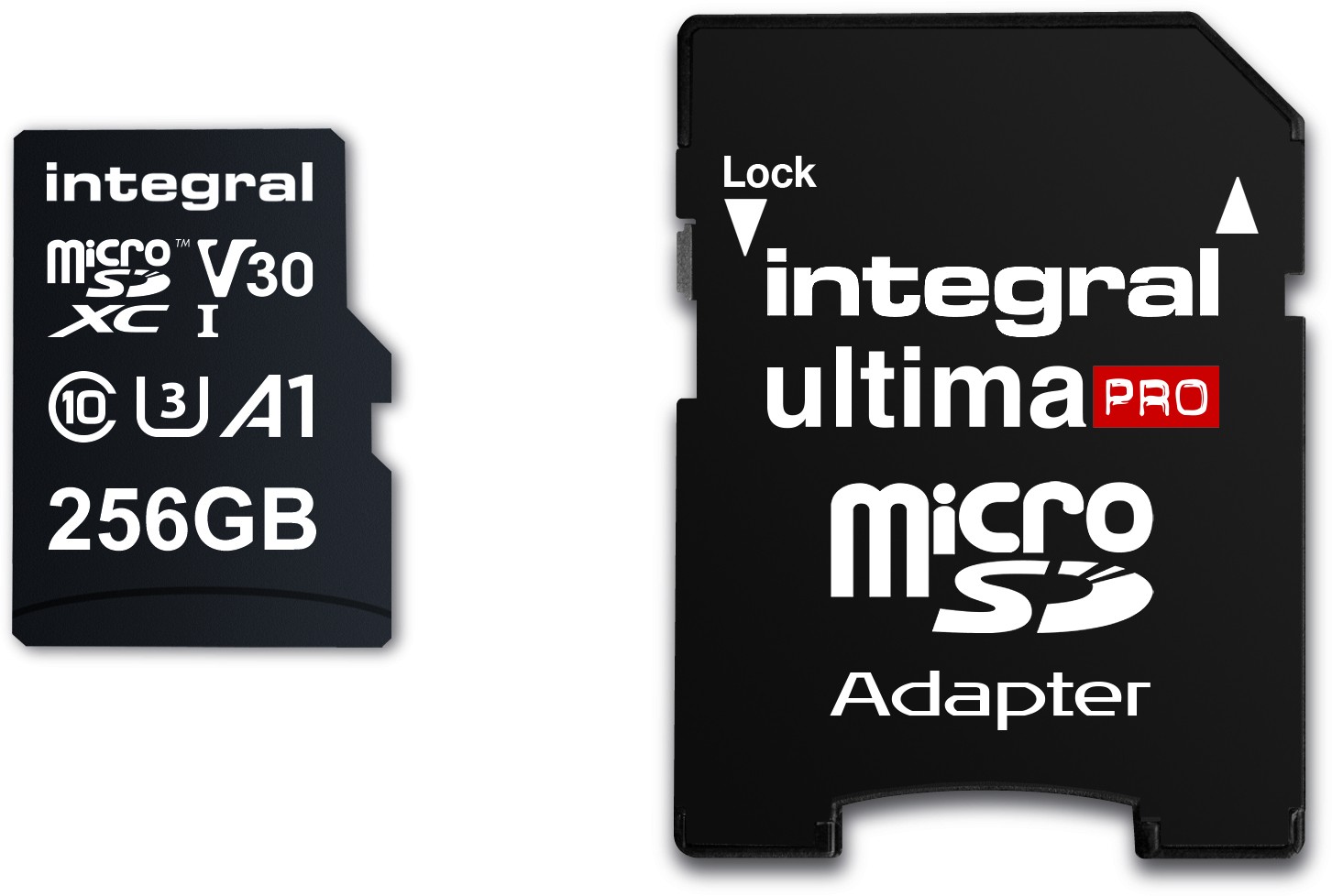 INTEGRAL Carte mémoire 256 Go INMSDX256G-100/90V30
