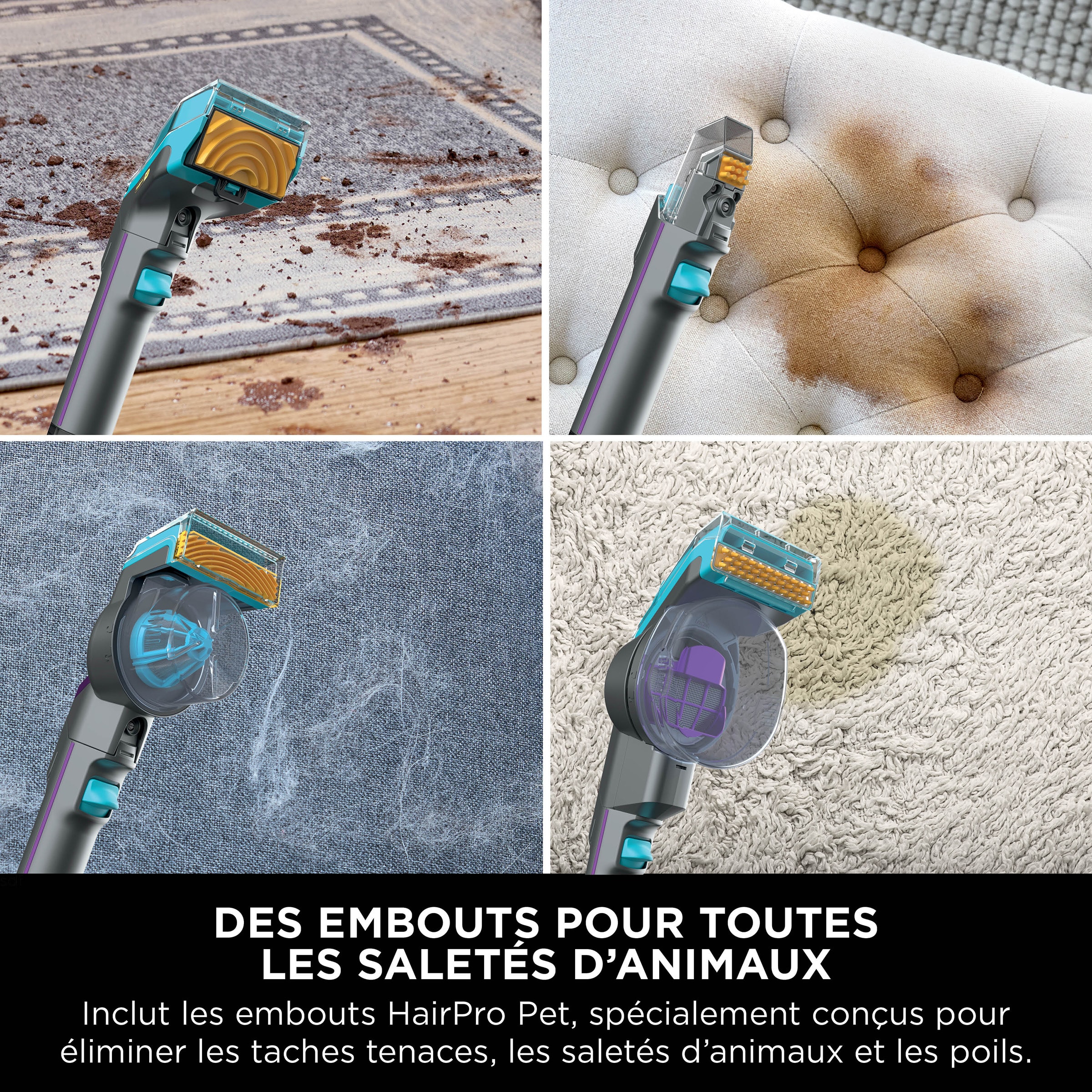 Nettoyeur de sol SHARK  - PX250EUT