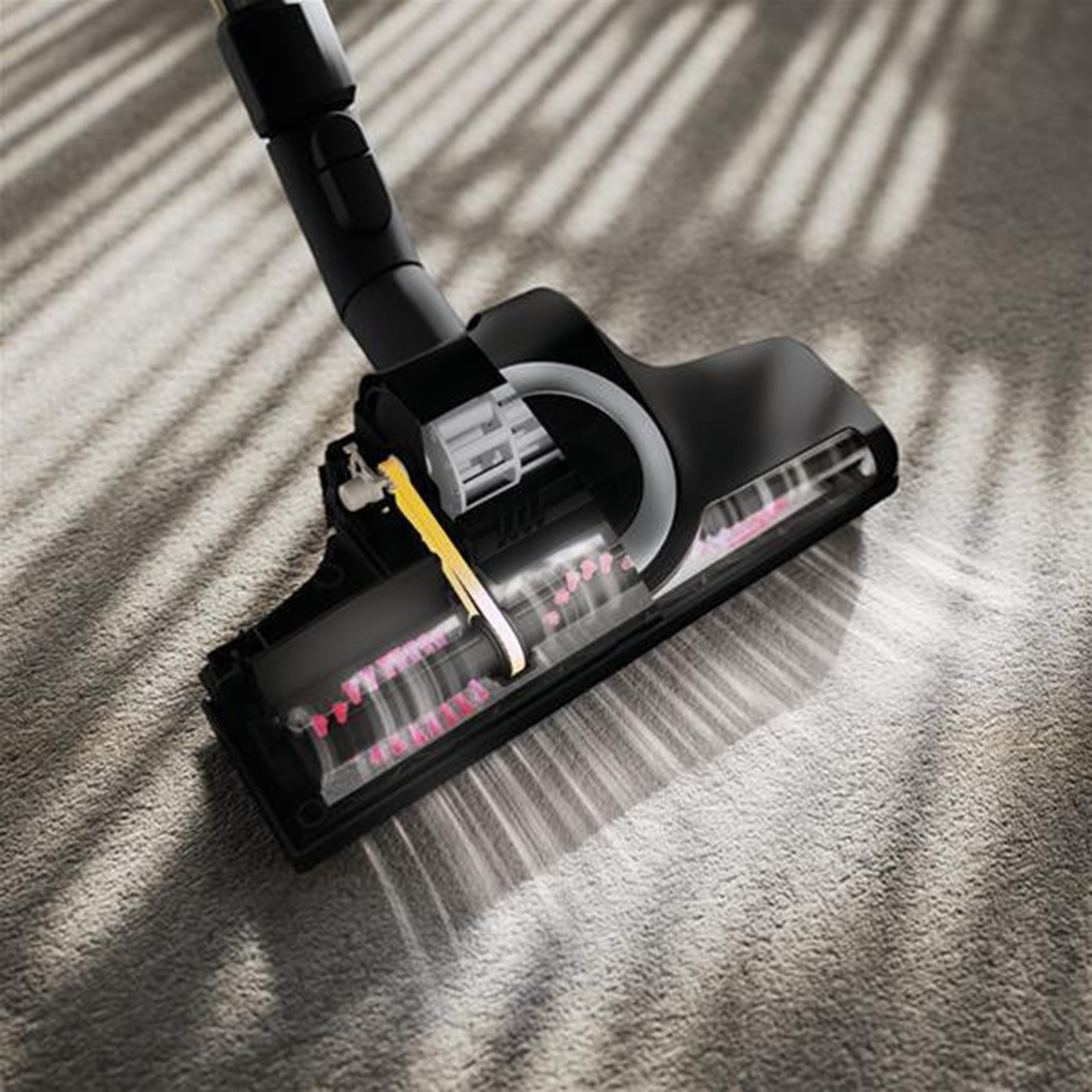 Aspirateur traîneau MIELE - GUARDM1CATDOGFLEXN Aspirateur traîneau MIELE - GUARDM1CATDOGFLEXN