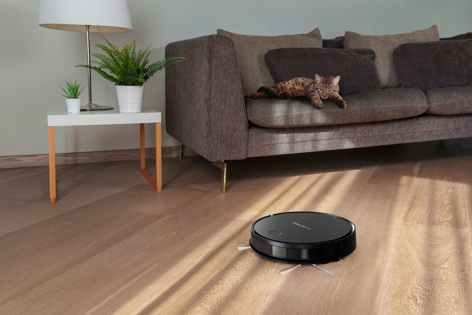 Aspirateur robot ROWENTA X-Plorer Serie 40 Allergy Connect - RR7245WH Aspirateur robot ROWENTA X-Plorer Serie 40 Allergy Connect - RR7245WH