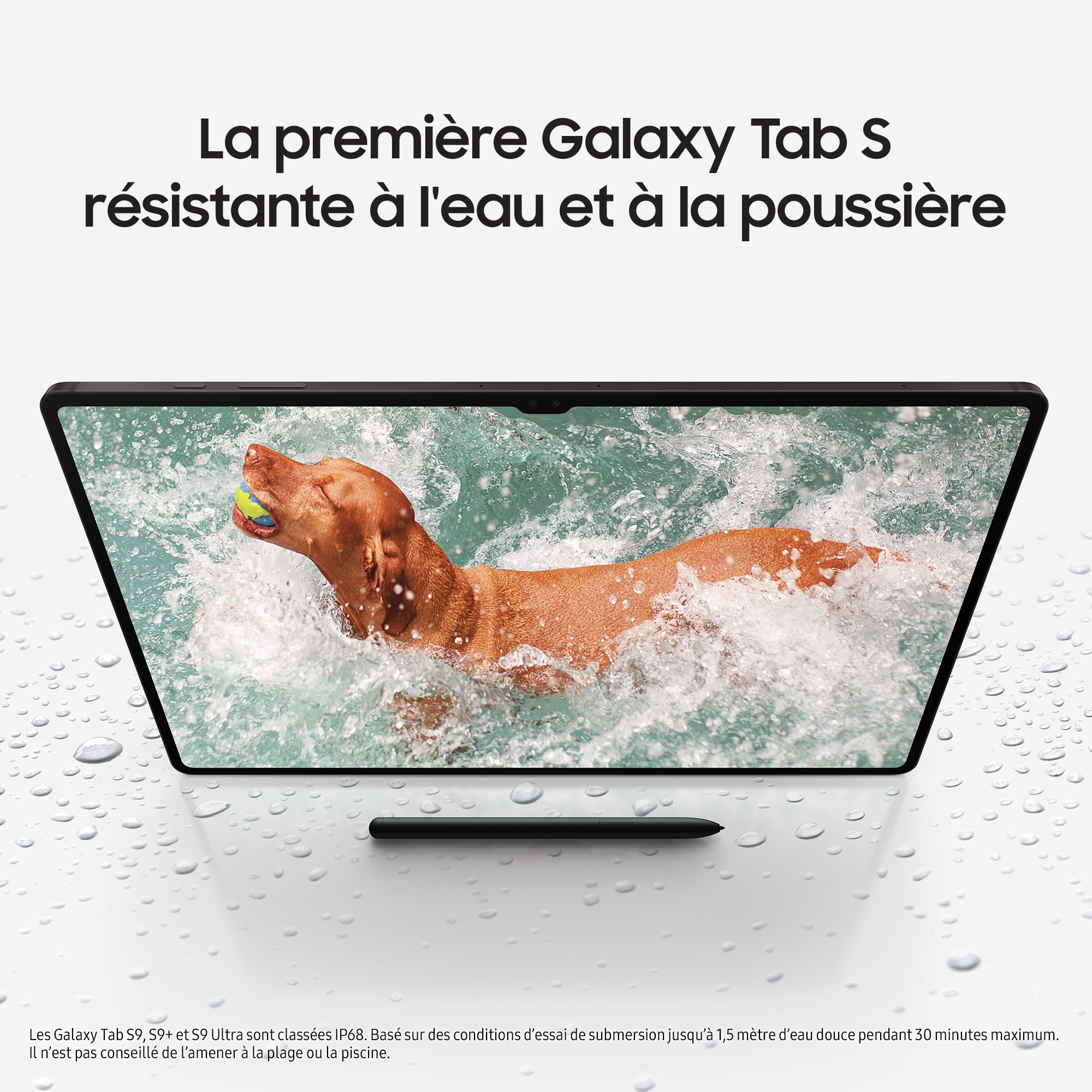 Tablette tactile SAMSUNG Galaxy Tab S9 Ultra, 5G, 256go, Gris - SM-X916BZAAEUB Tablette tactile SAMSUNG Galaxy Tab S9 Ultra, 5G, 256go, Gris - SM-X916BZAAEUB
