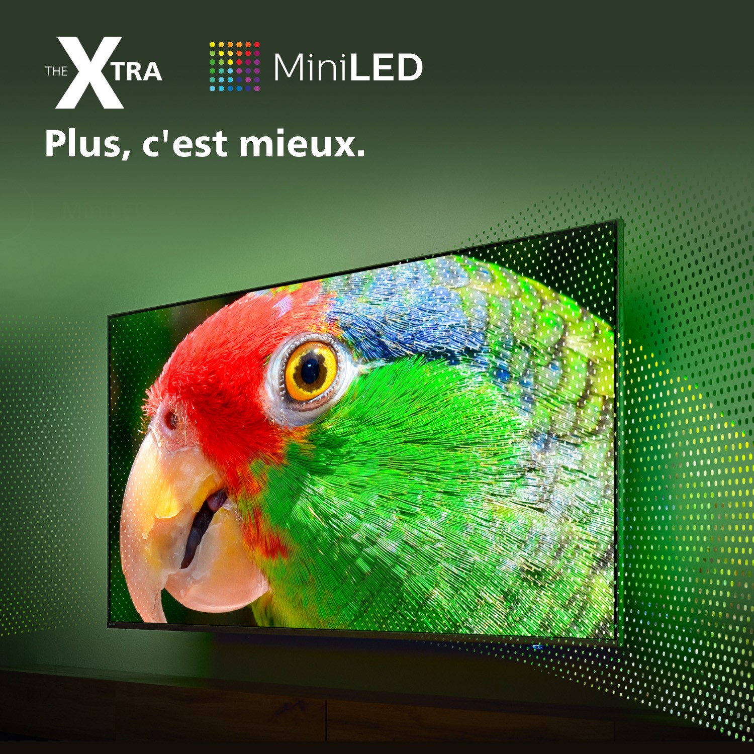 PHILIPS TV Mini LED 4K 139 cm Xtra Ambilight 55" - 55PML9008