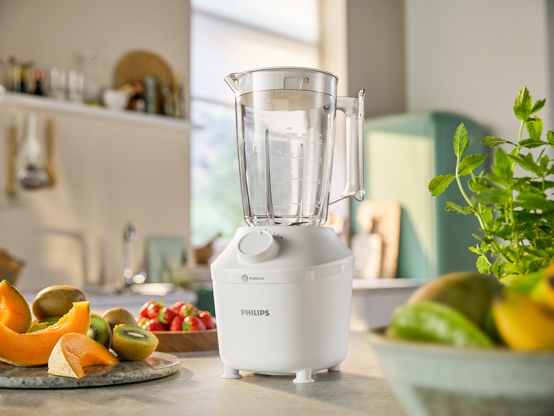 Blender PHILIPS  - HR2041/00