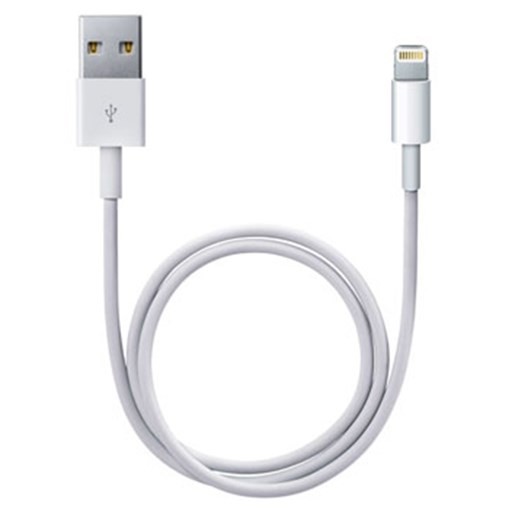 APPLE Câble lightning   ME291ZM/A