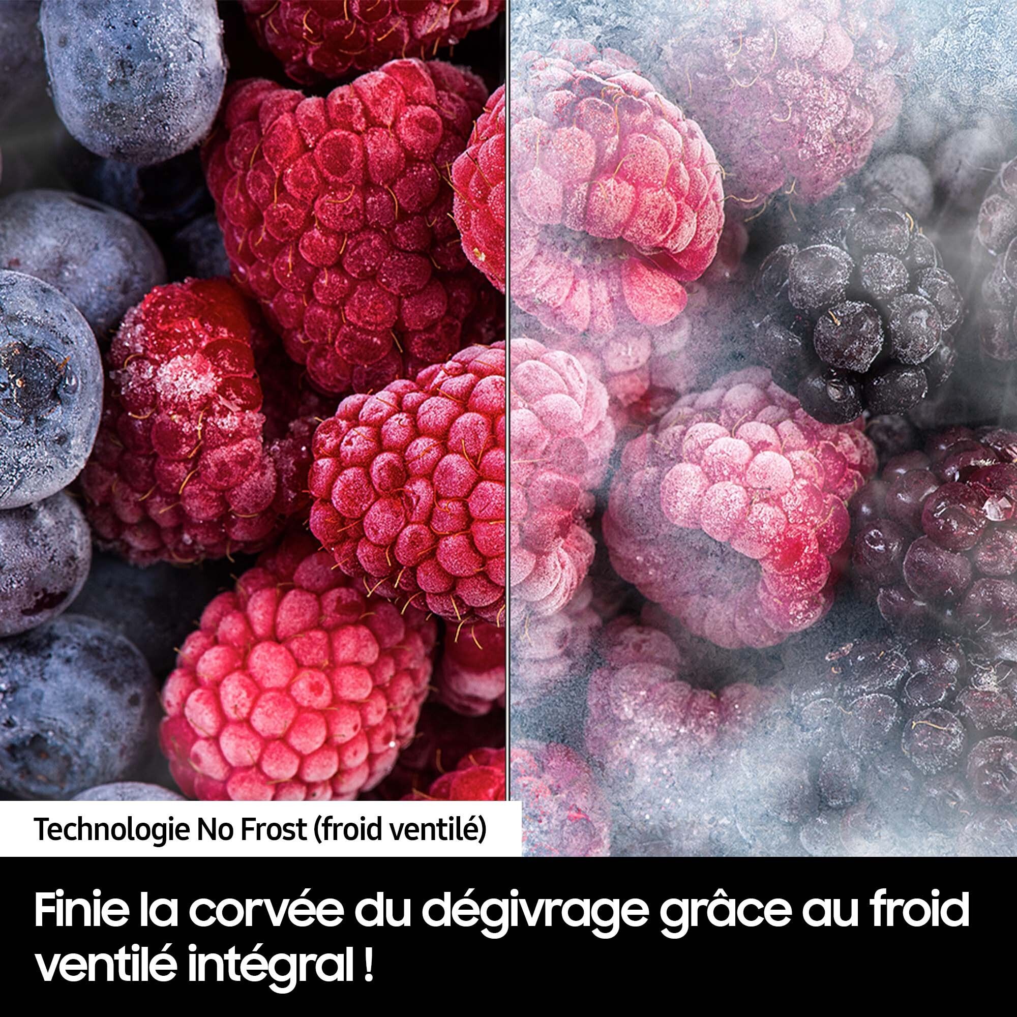 Réfrigérateur congélateur encastrable SAMSUNG 267L No Frost Blanc - BRB80F26DES0EF