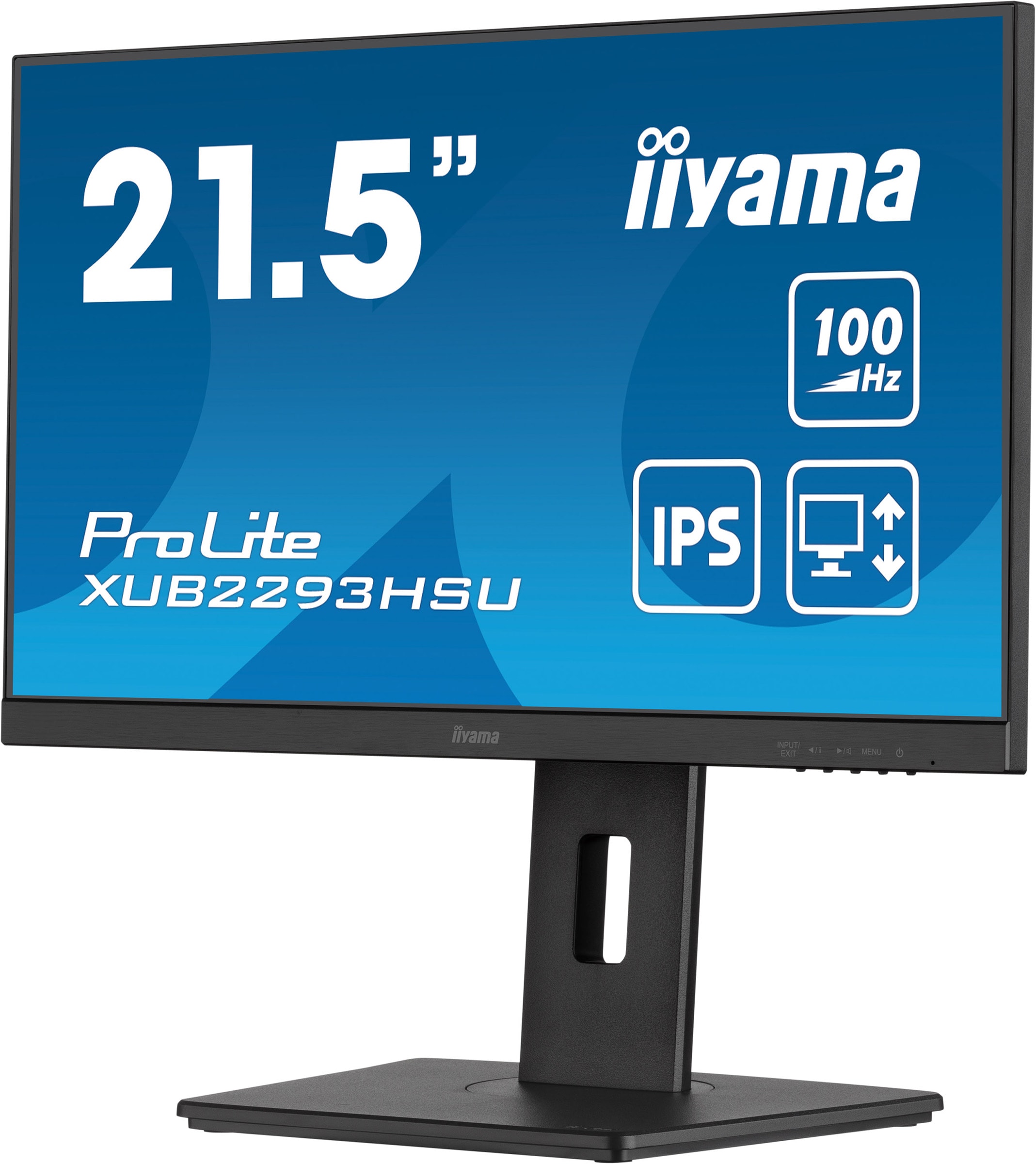 Ecran 21.5 pouces Full HD IIYAMA  - IIXUB2293HSUB7