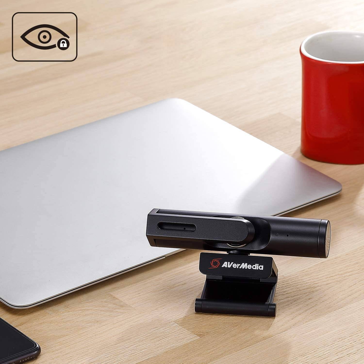 Webcam AVERMEDIA  - PW513