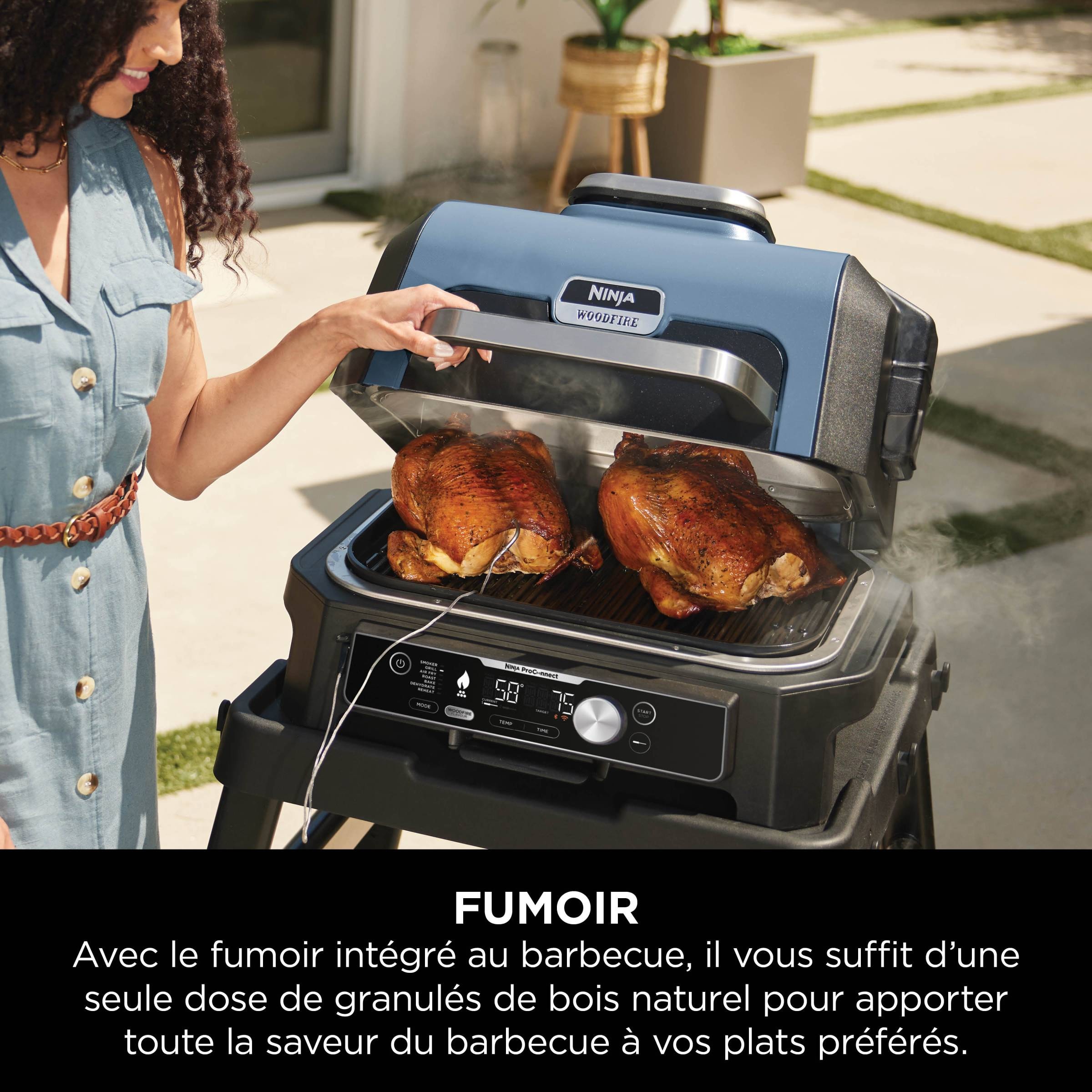 Barbecue électrique NINJA  - OG901EU