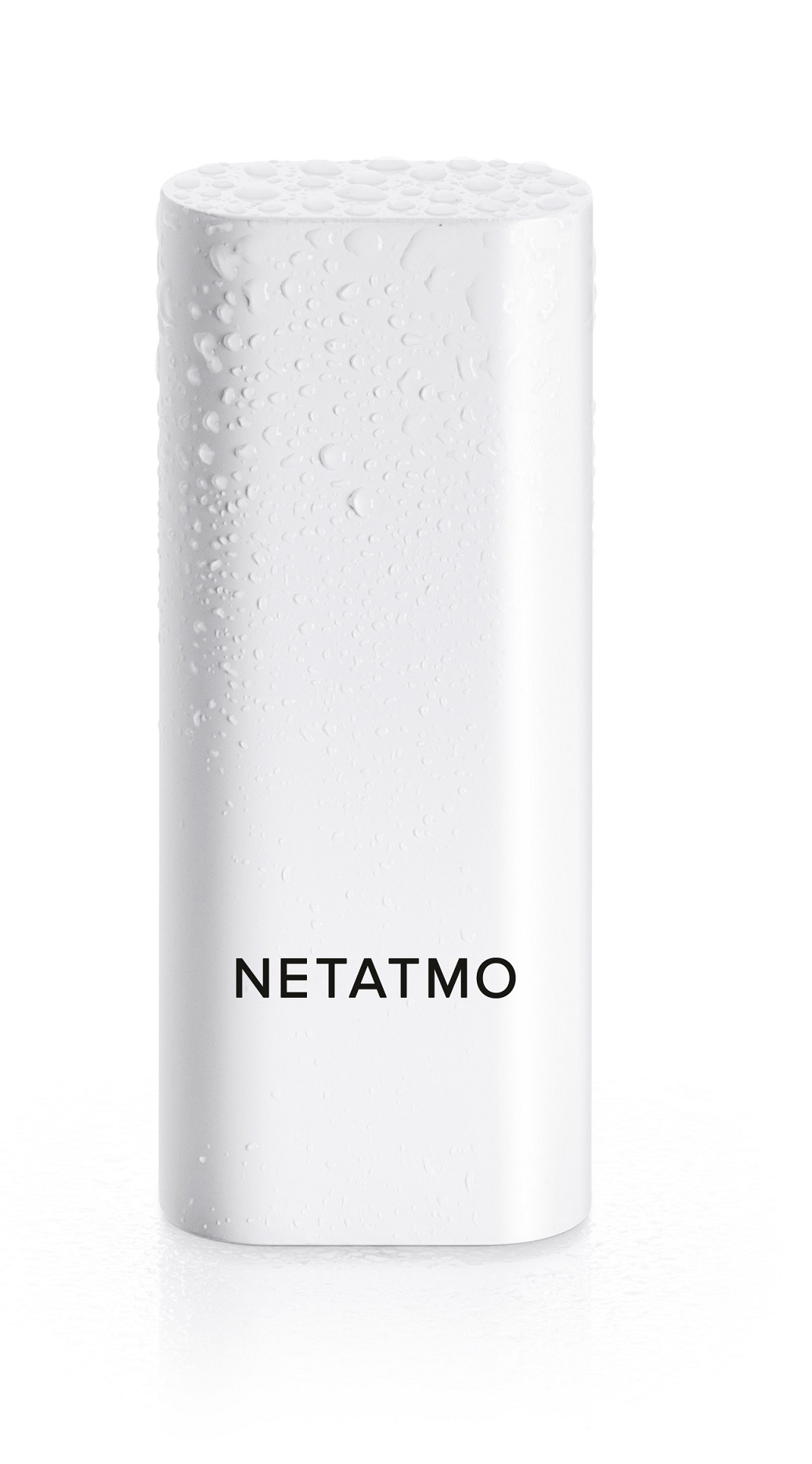 Caméra de surveillance NETATMO - NBU-ICSS-EU Caméra de surveillance NETATMO - NBU-ICSS-EU