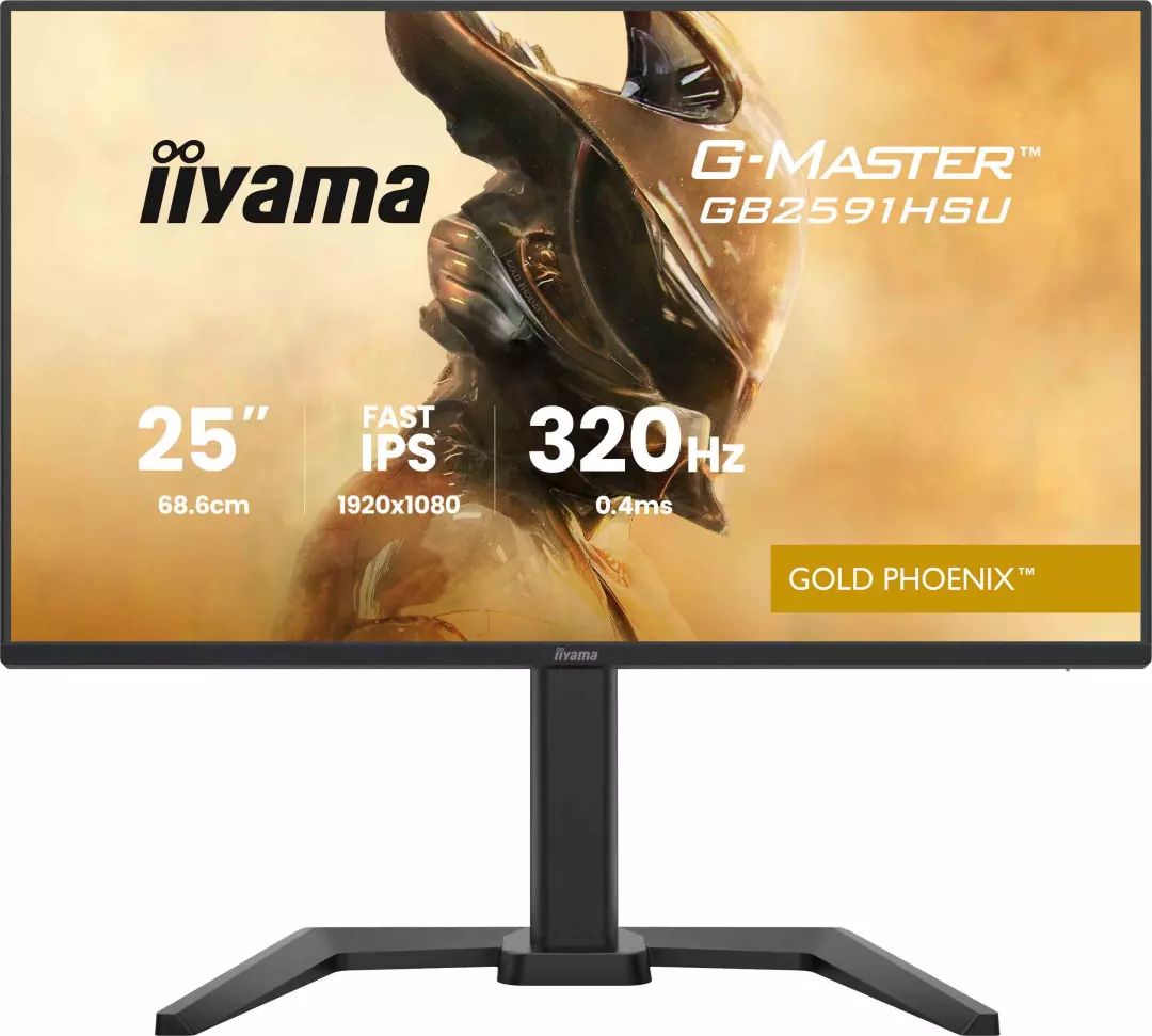 Ecran 24.5 pouces Full HD IIYAMA IPS HDMI DisplayPort USB Noir GB2591HSU-B1
