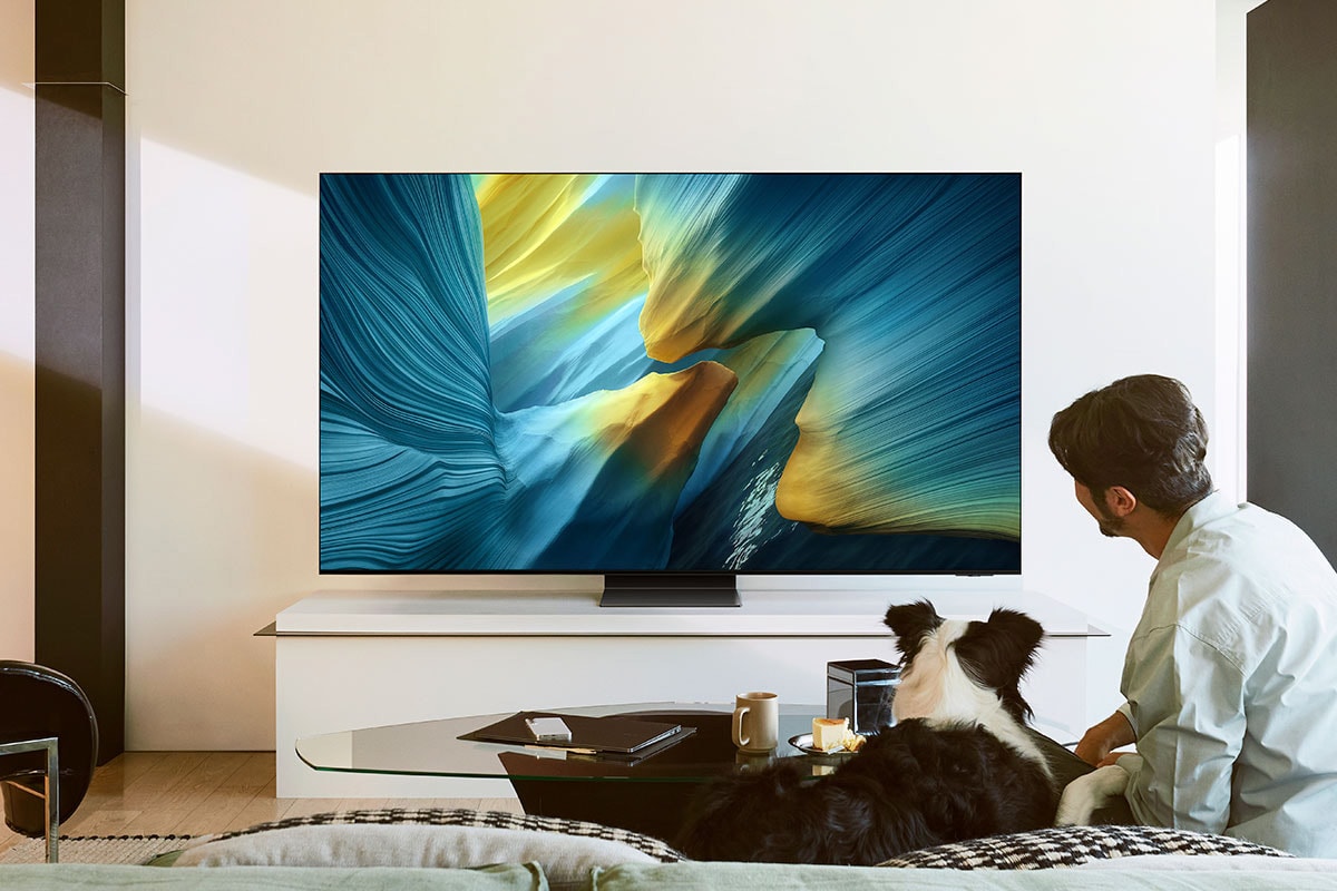 TV OLED 4K 163 cm SAMSUNG - TQ65S95F TV OLED 4K 163 cm SAMSUNG - TQ65S95F
