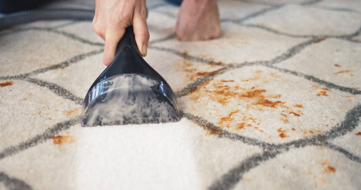 Nettoyeur détacheur BISSELL Spot Clean Pro, 750W, Noir - SPOTCLEANPRO