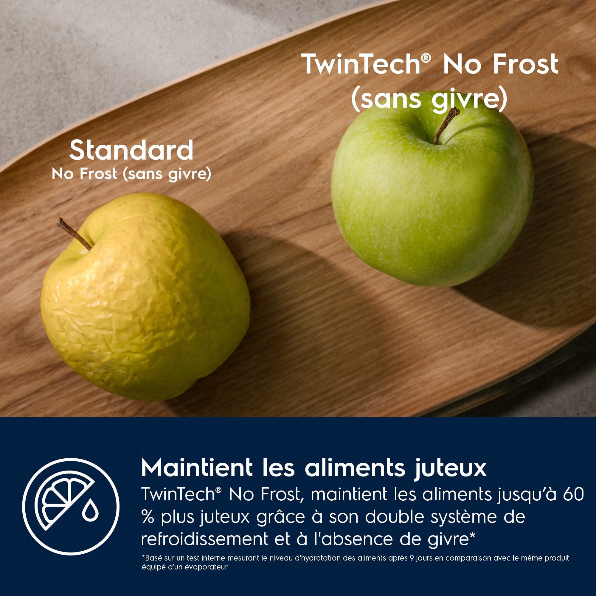 Réfrigérateur congélateur encastrable ELECTROLUX Série 600 Froid brassé 269L - ENT6ME19S Réfrigérateur congélateur encastrable ELECTROLUX Série 600 Froid brassé 269L - ENT6ME19S