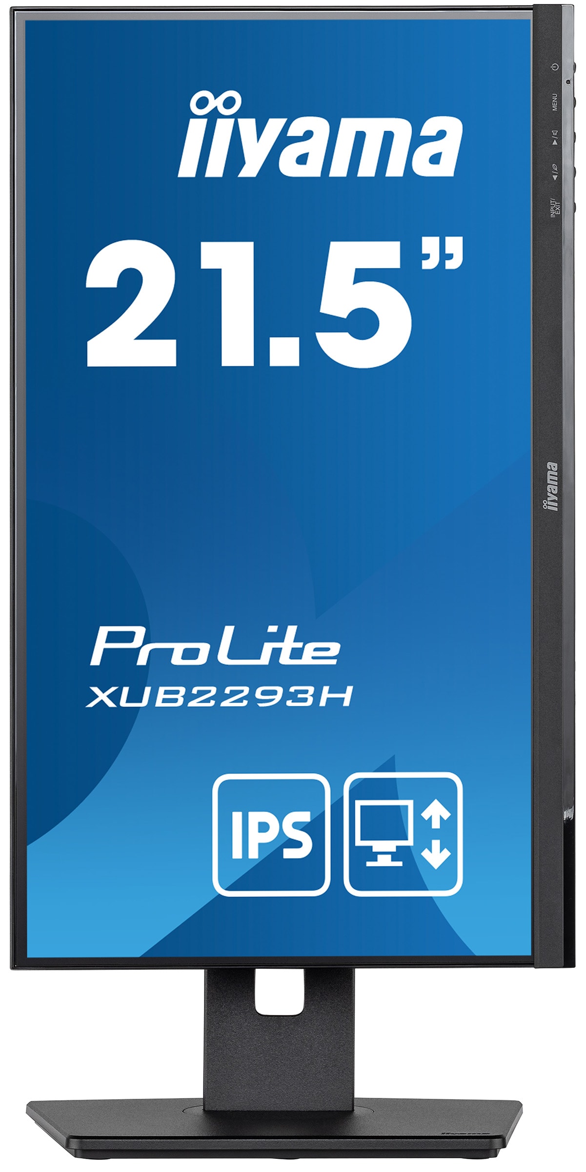 Ecran 21.5 pouces Full HD IIYAMA  - IIXUB2293HSB3